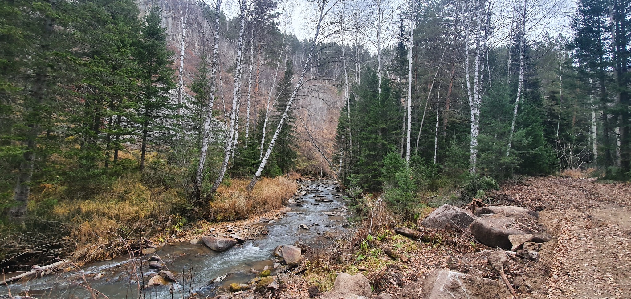 Река Белокуриха 25.10.2021 - Моё, Мобильная фотография, Длиннопост, Путешествия, Природа, Река, Лес, Алтайский край