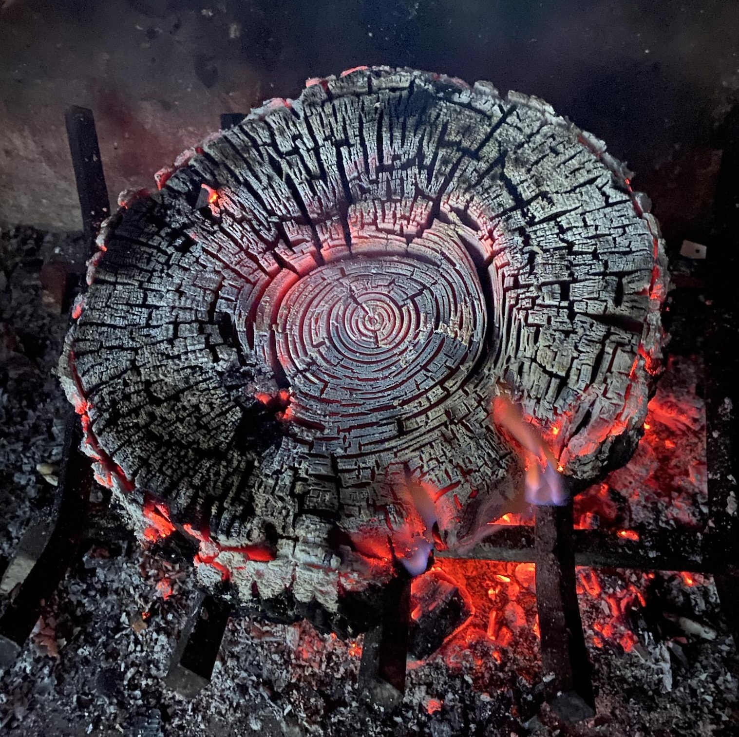 A charred saw cut of a tree looks very beautiful - Tree, Fire, Coal, The photo