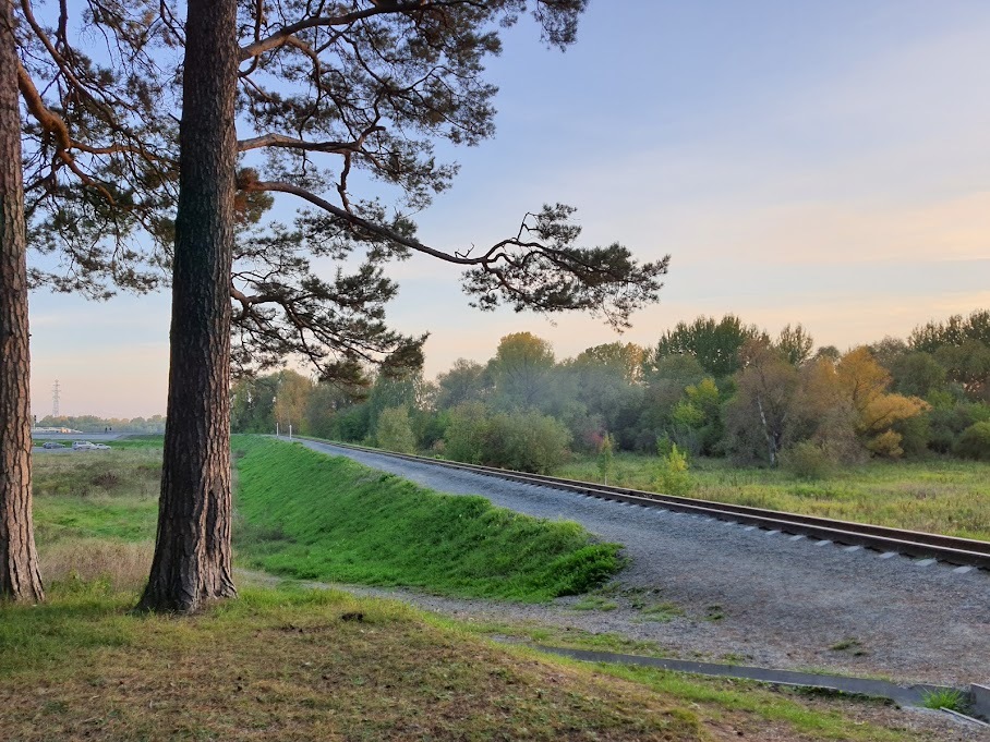 September - My, Mobile photography, The photo, Railway, September