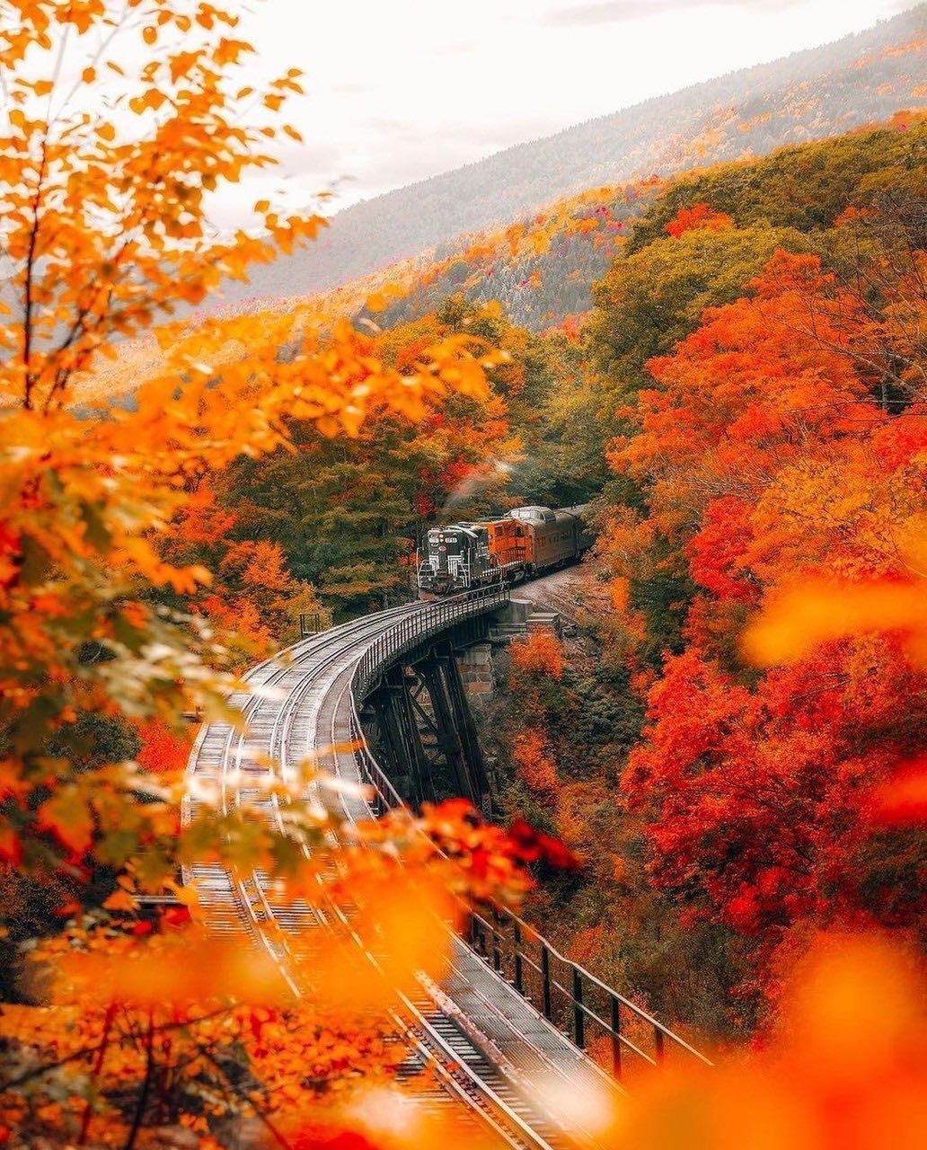 autumn train - Autumn, The photo, A train