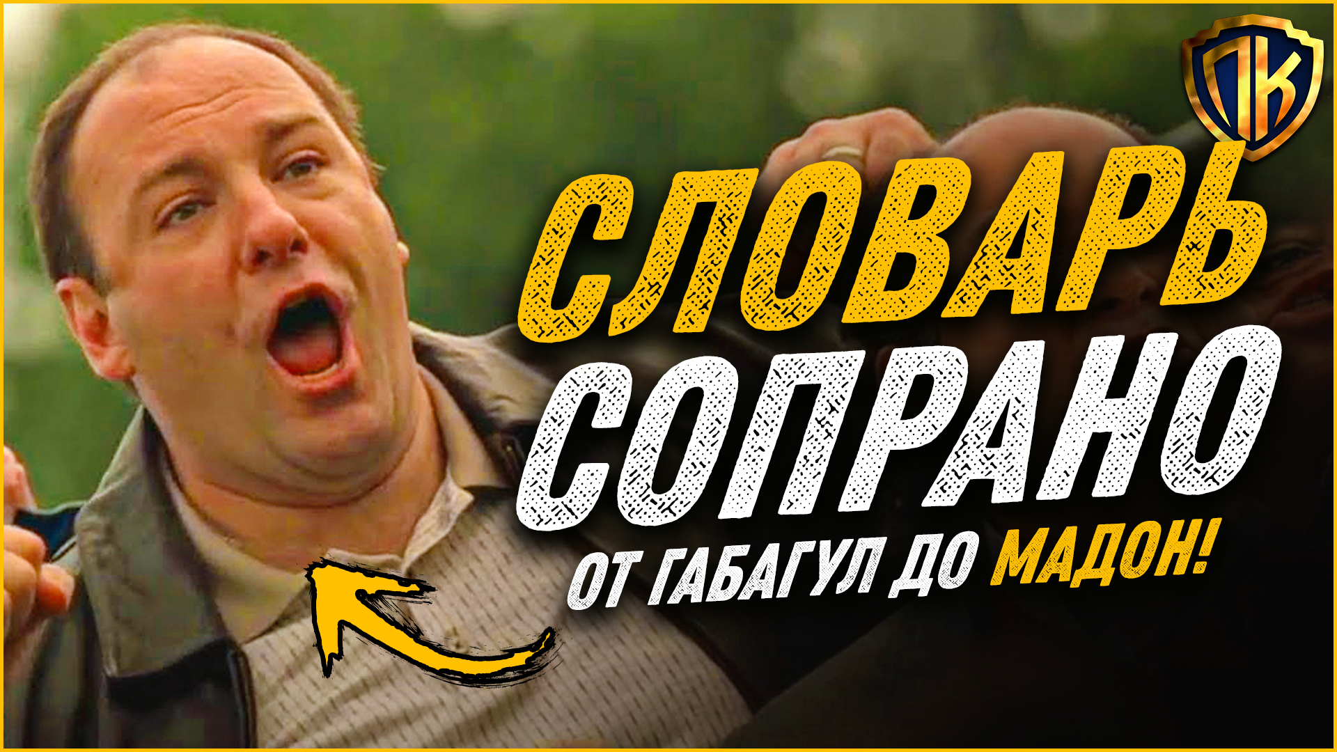 СЛОВАРЬ СОПРАНО — КАКОЙ СМЫСЛ? (ОТ ГАБАГУЛ ДО МАДОН) | Пикабу