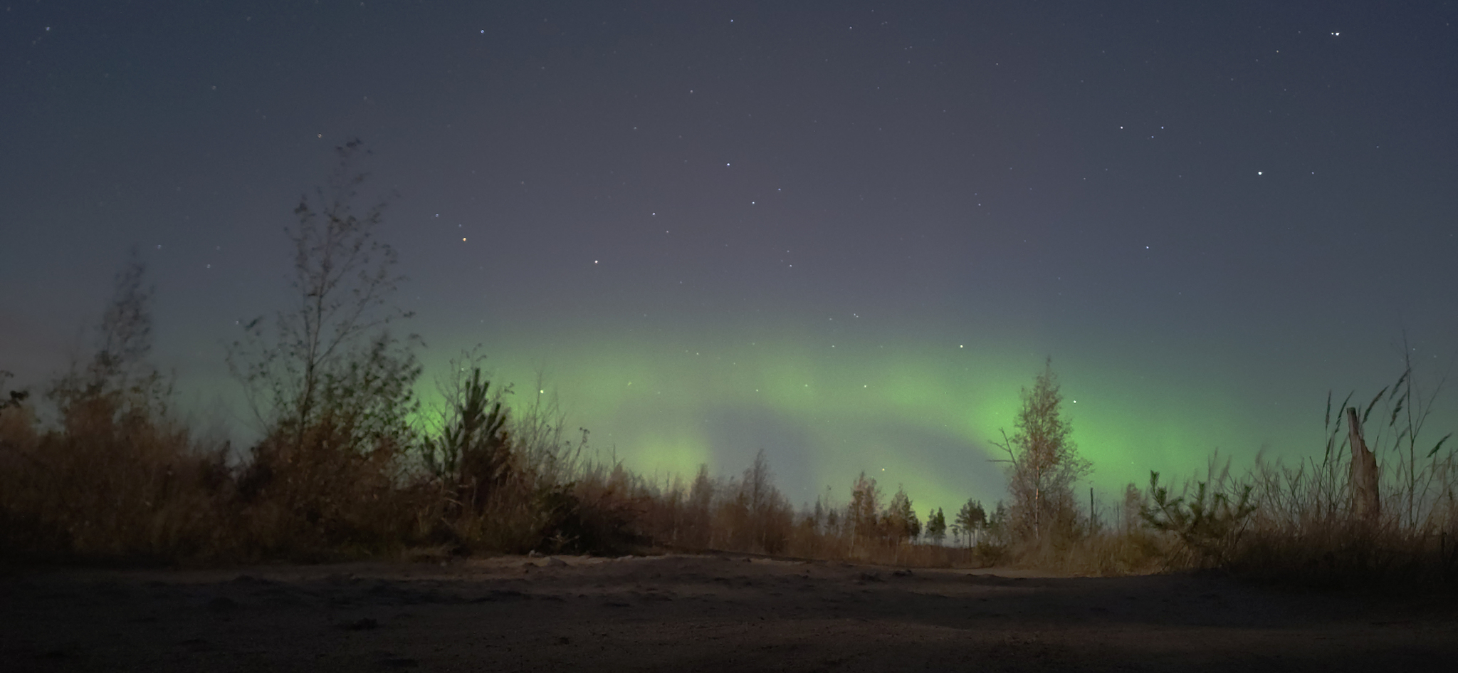 Aurora. 70 км. от Санкт-Петербурга - Моё, Aurora, Полярное сияние, Фотография, Мобильная фотография, Санкт-Петербург