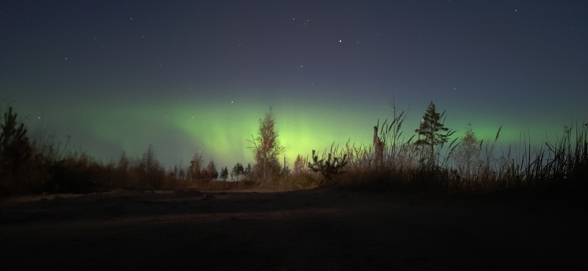 Aurora. 70 км. от Санкт-Петербурга - Моё, Aurora, Полярное сияние, Фотография, Мобильная фотография, Санкт-Петербург