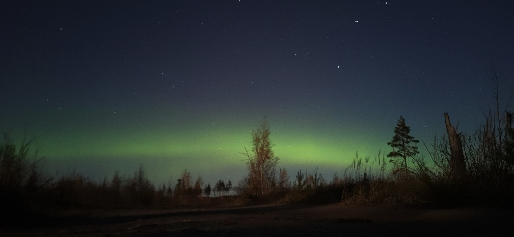 Aurora. 70 км. от Санкт-Петербурга - Моё, Aurora, Полярное сияние, Фотография, Мобильная фотография, Санкт-Петербург