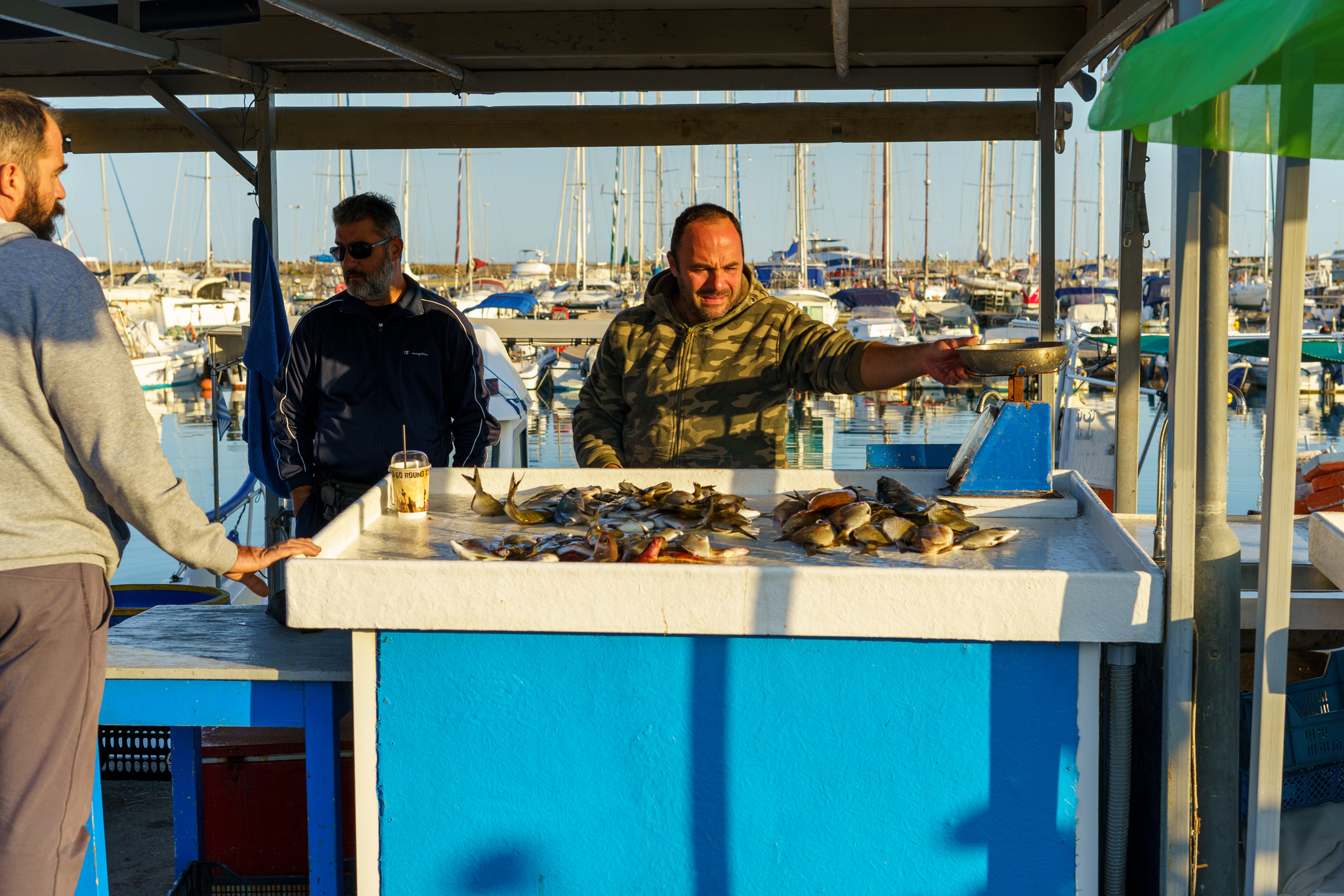 Fish market in Crete - My, Crete, Greece, Fishermen, Market, Fishing, Rethymnon, Longpost