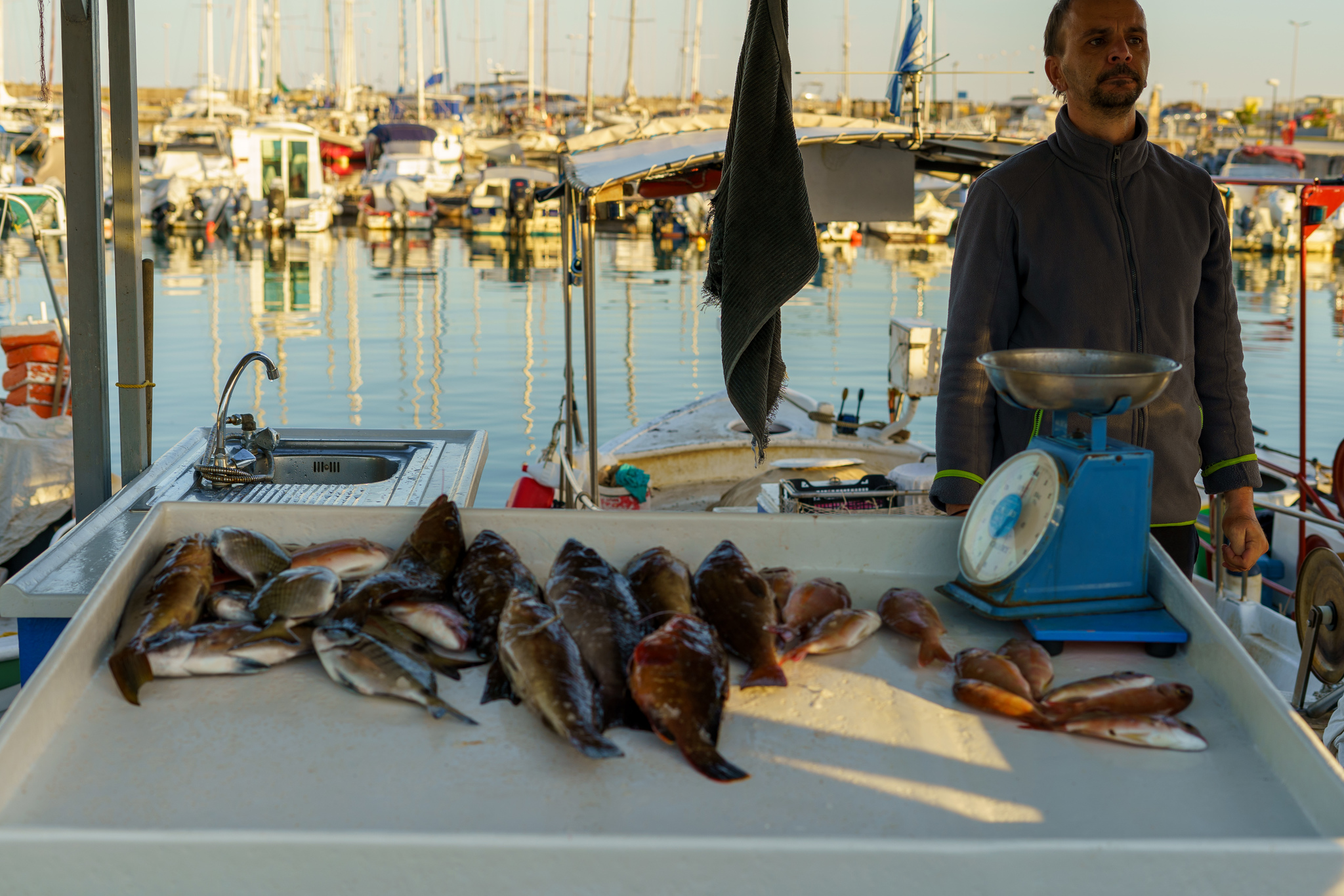 Fish market in Crete - My, Crete, Greece, Fishermen, Market, Fishing, Rethymnon, Longpost