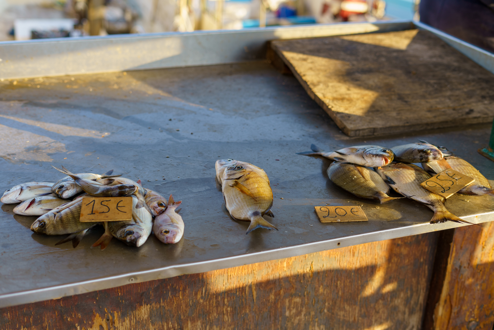 Fish market in Crete - My, Crete, Greece, Fishermen, Market, Fishing, Rethymnon, Longpost