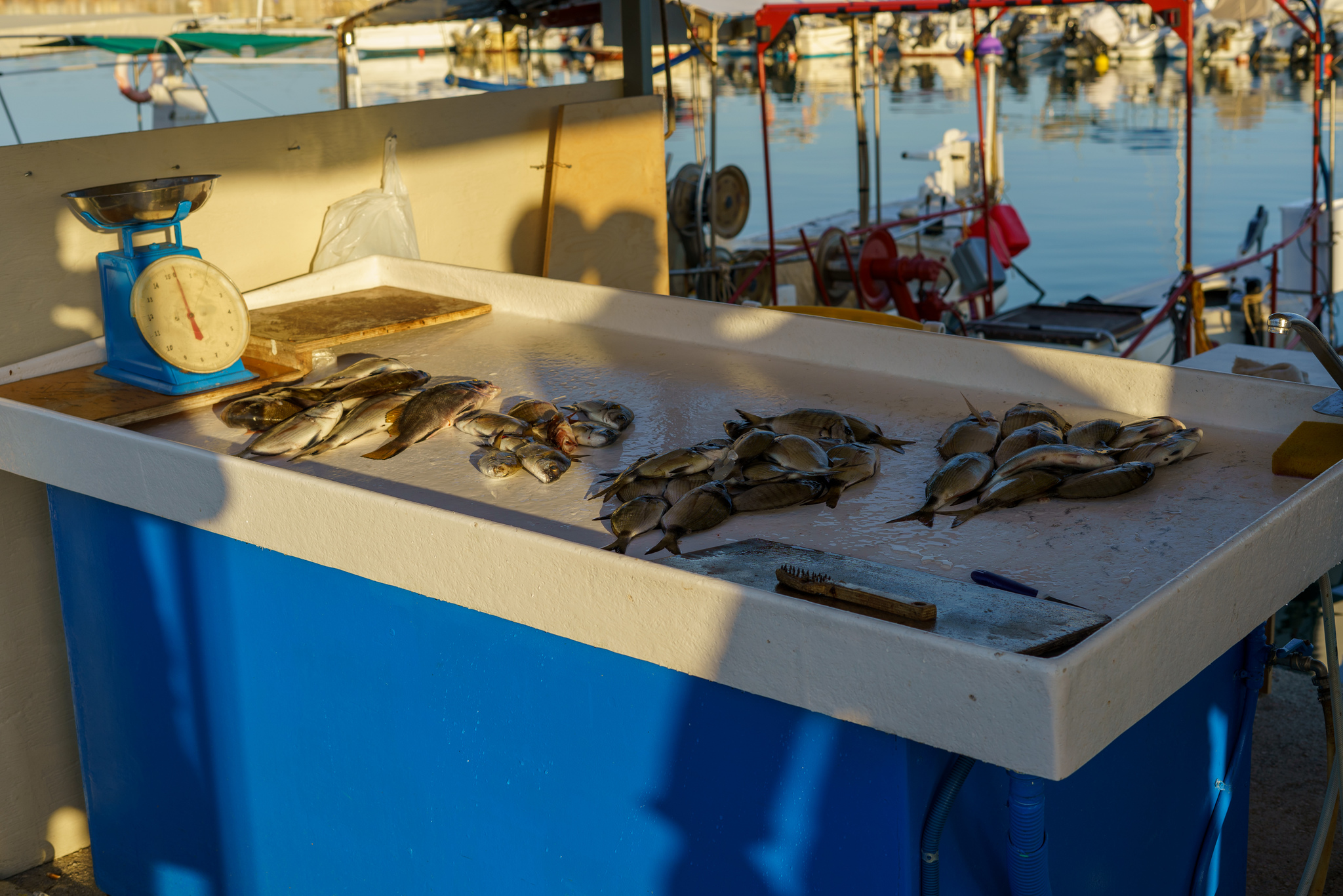 Fish market in Crete - My, Crete, Greece, Fishermen, Market, Fishing, Rethymnon, Longpost