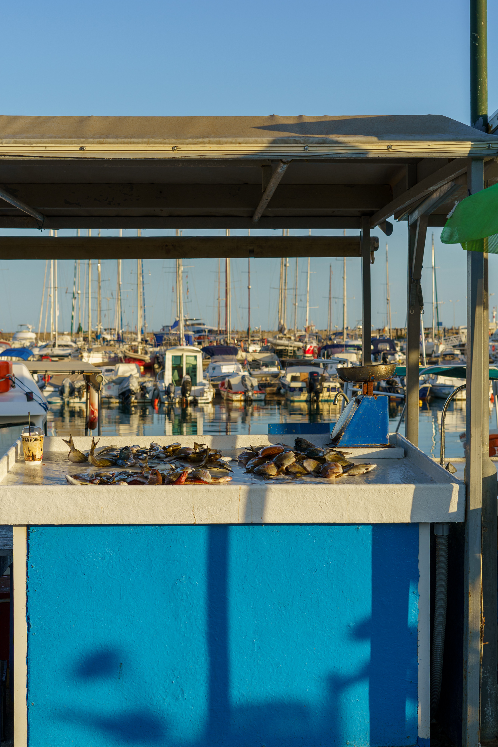 Fish market in Crete - My, Crete, Greece, Fishermen, Market, Fishing, Rethymnon, Longpost