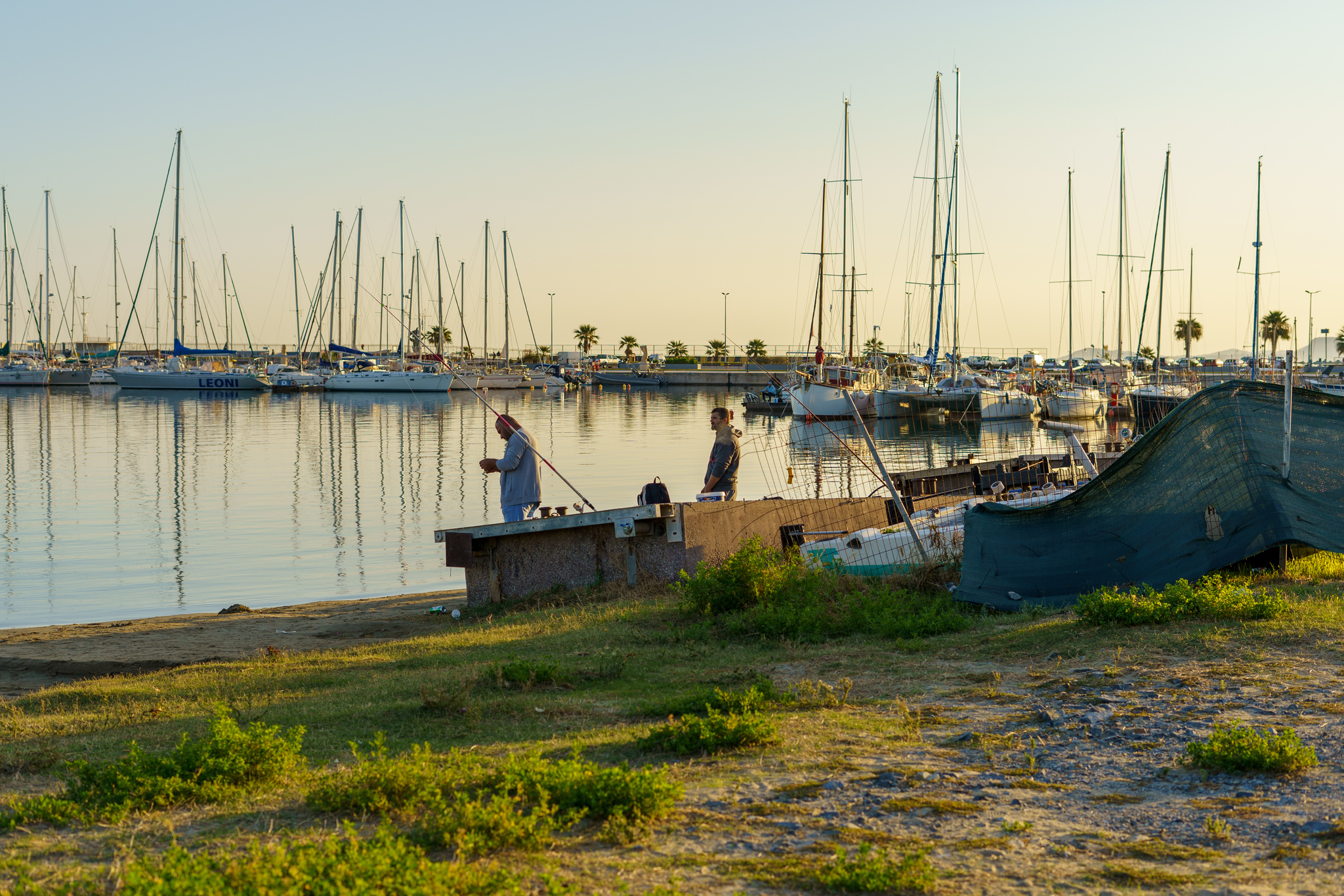 Fish market in Crete - My, Crete, Greece, Fishermen, Market, Fishing, Rethymnon, Longpost