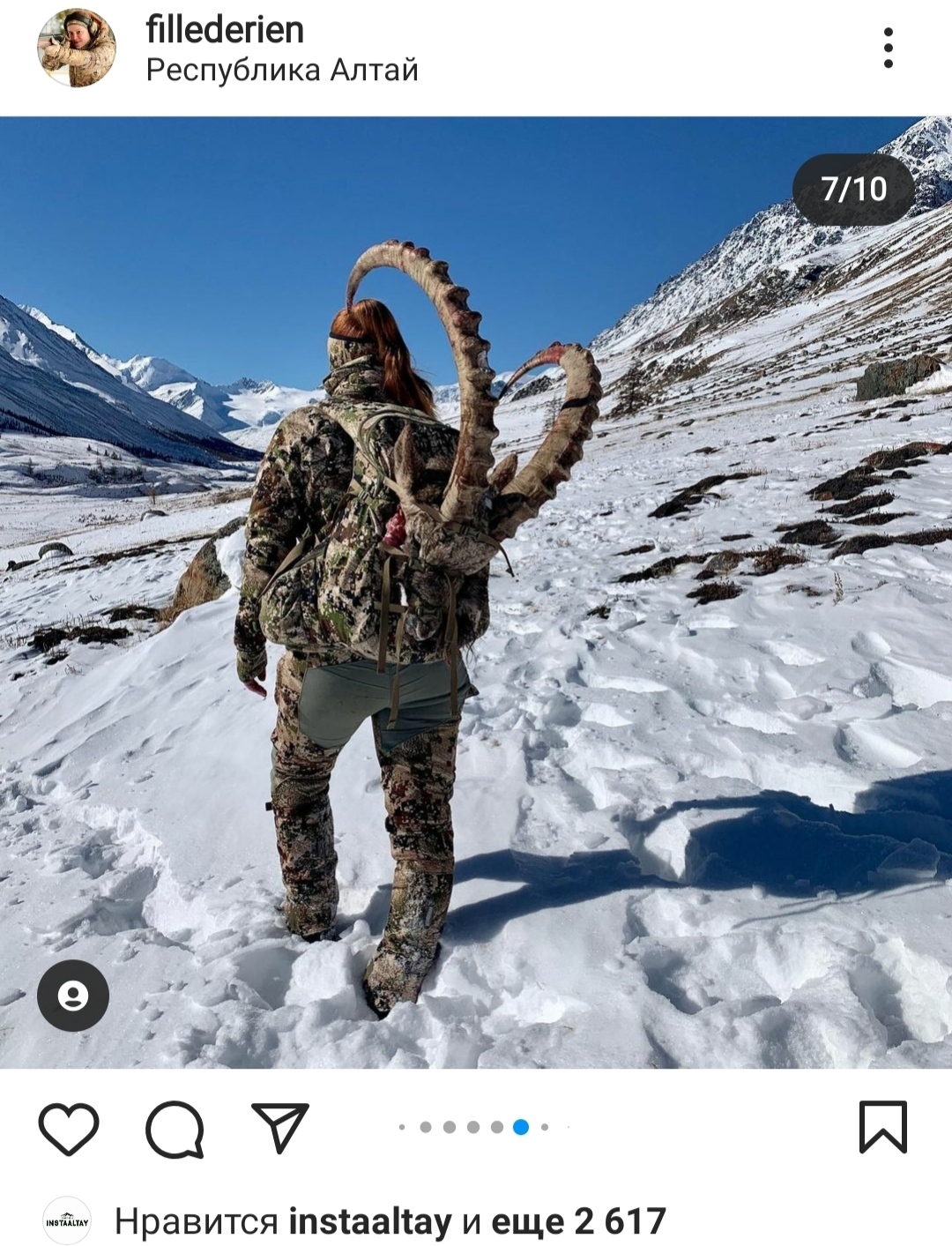 Mystical Luck! When killing animals listed in the Red Book is enviable, commendable and legal - My, Hunting, Negative, Altai Republic, Wild animals, Longpost