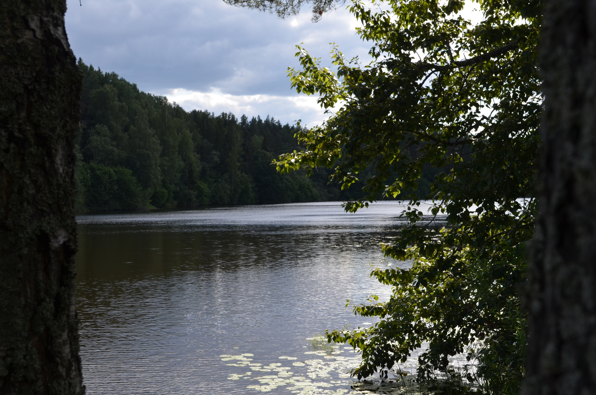 Shilskaya HPP - My, Hydroelectric power station, Opochka, Nature, Fishing, The photo, Longpost