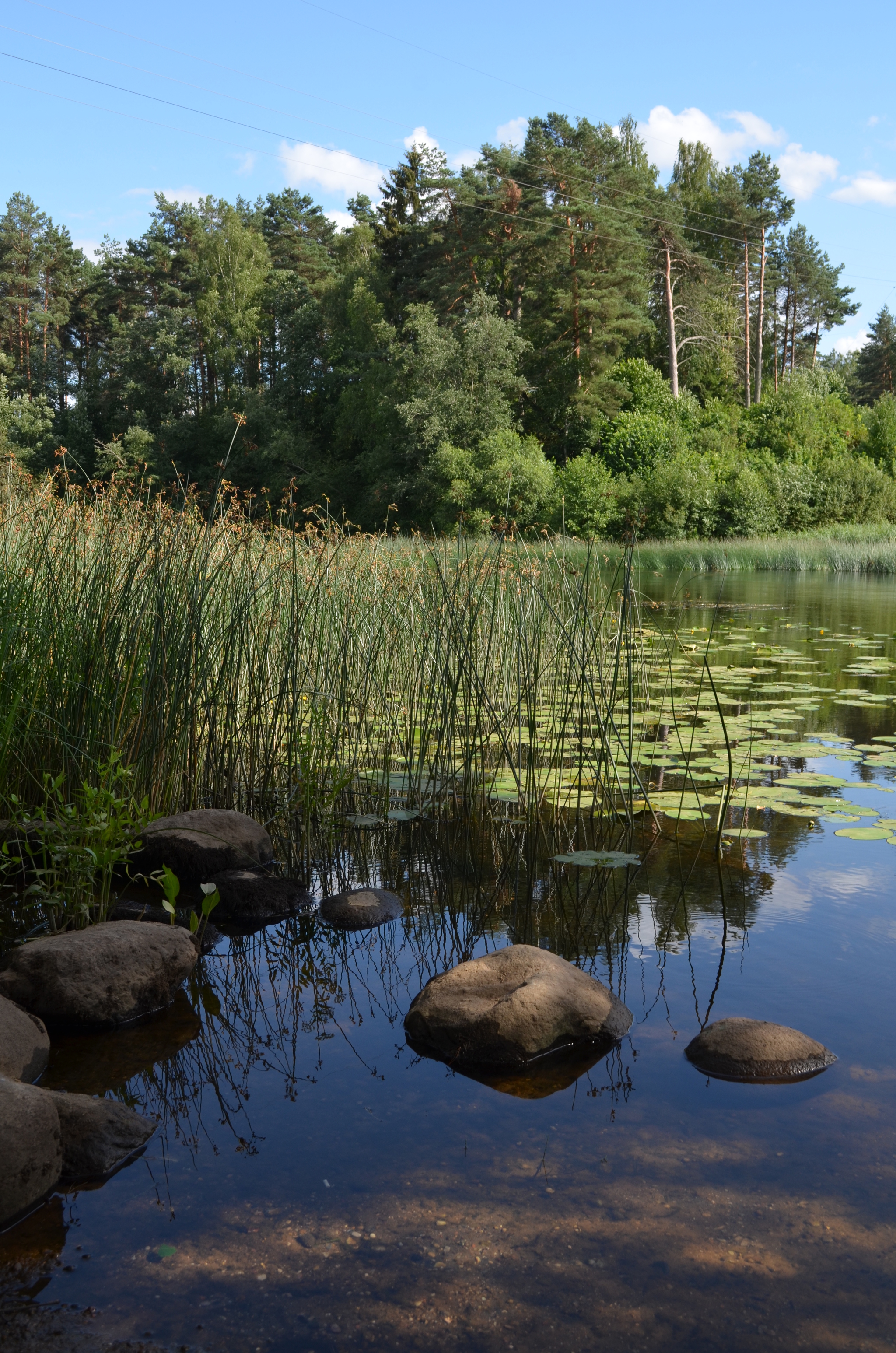 Shilskaya HPP - My, Hydroelectric power station, Opochka, Nature, Fishing, The photo, Longpost