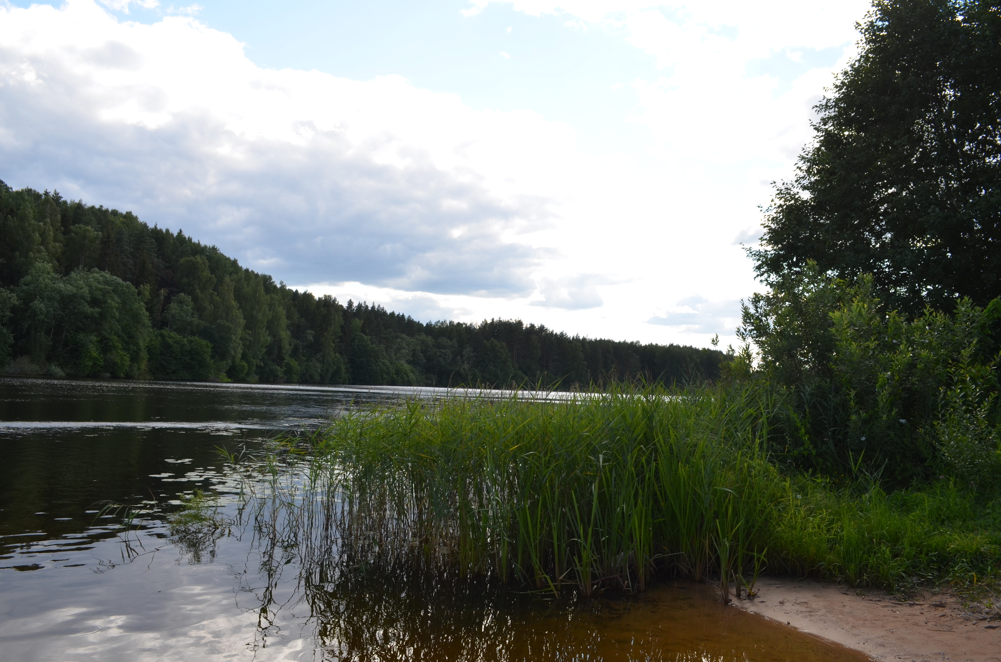 Shilskaya HPP - My, Hydroelectric power station, Opochka, Nature, Fishing, The photo, Longpost