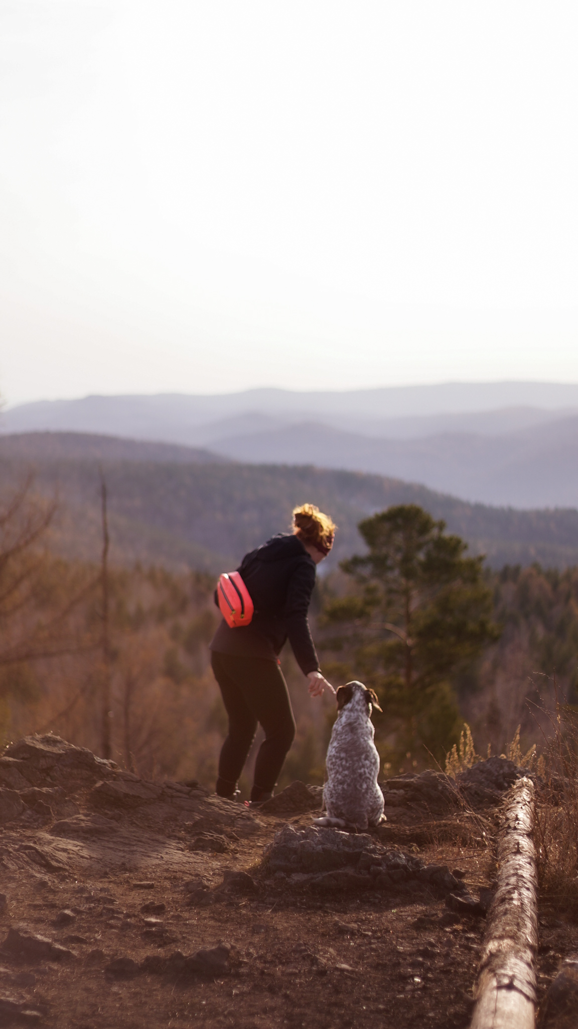 My dog, forest, autumn - My, Dog, Best friend, Туристы, Sony NEX, Longpost, Autumn