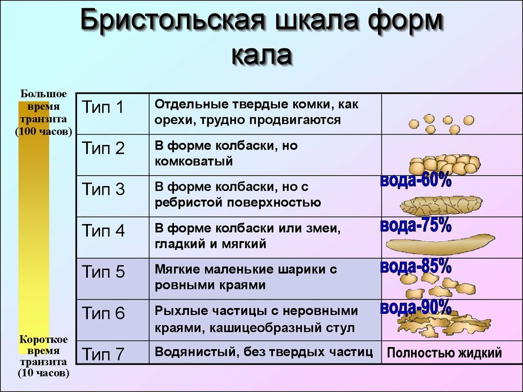 6 тип стула по бристольской шкале