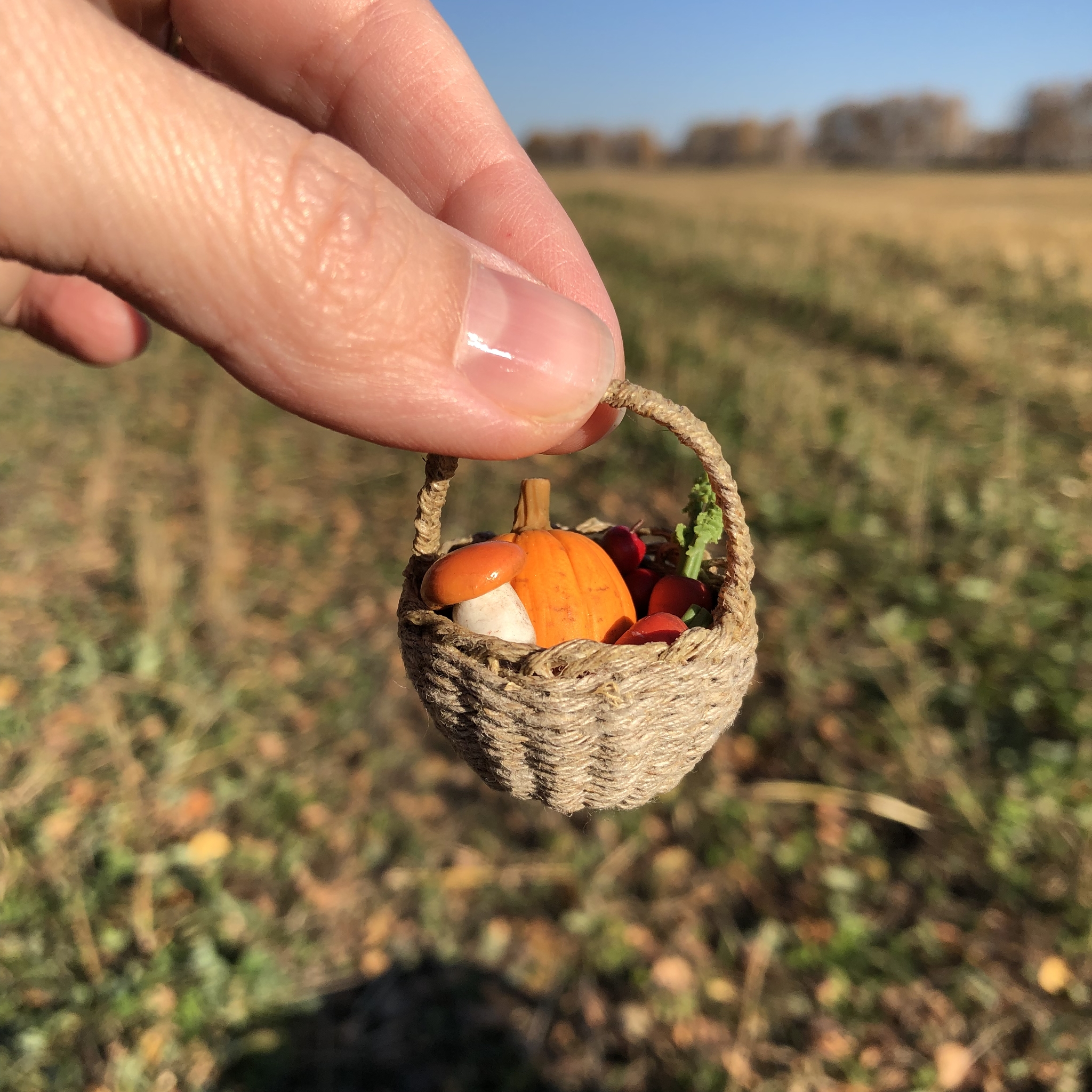 Миниатюра для кукольного дома - Моё, Миниатюра, Полимерная глина, Кукольный дом, Игрушки, Сувениры, Хобби, Милота, Румбокс, Увлечение, Длиннопост