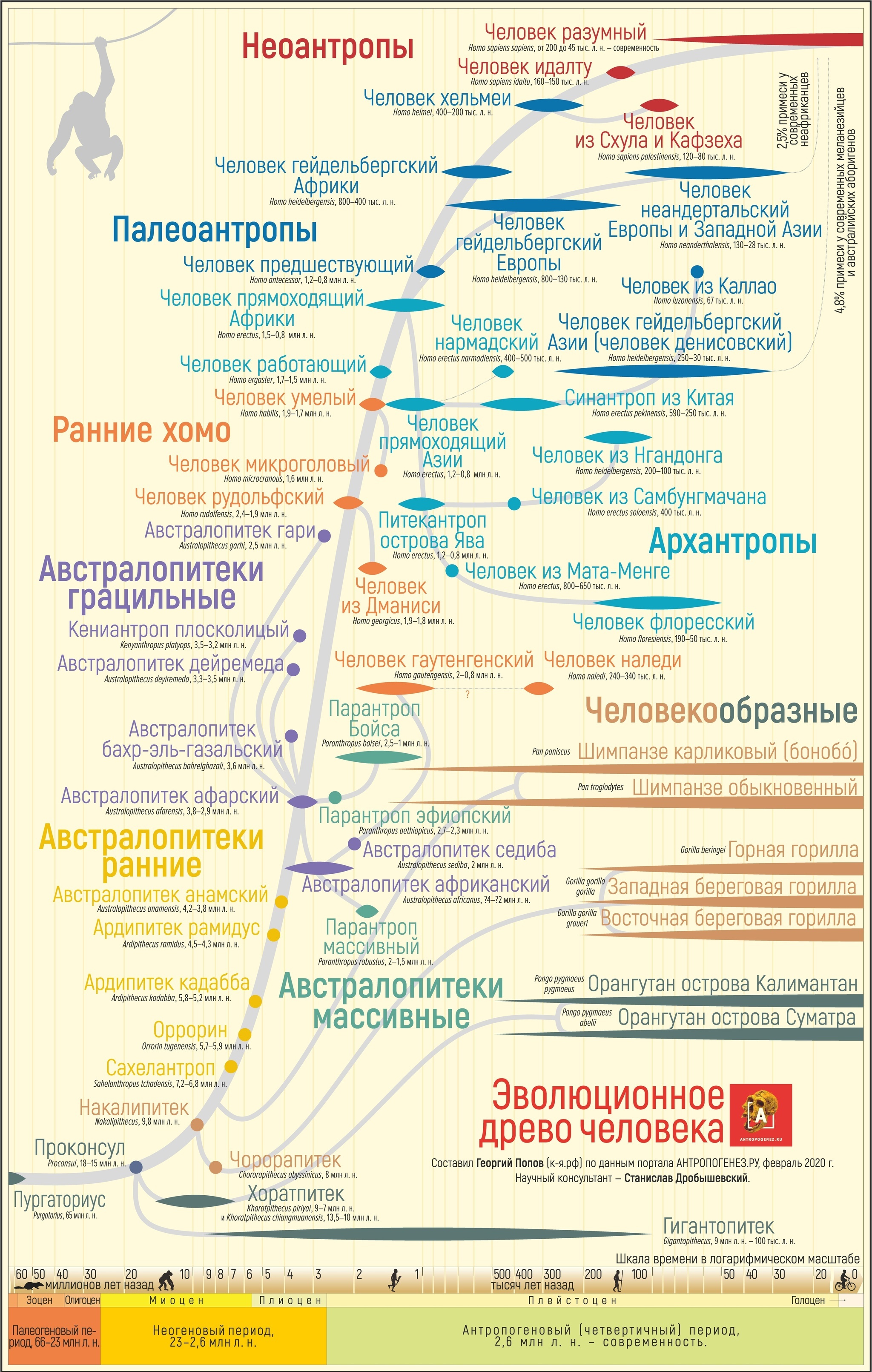 Разбор популярных биологических заблуждений из школьной программы - Моё, Наука, Биология, Видео, Длиннопост