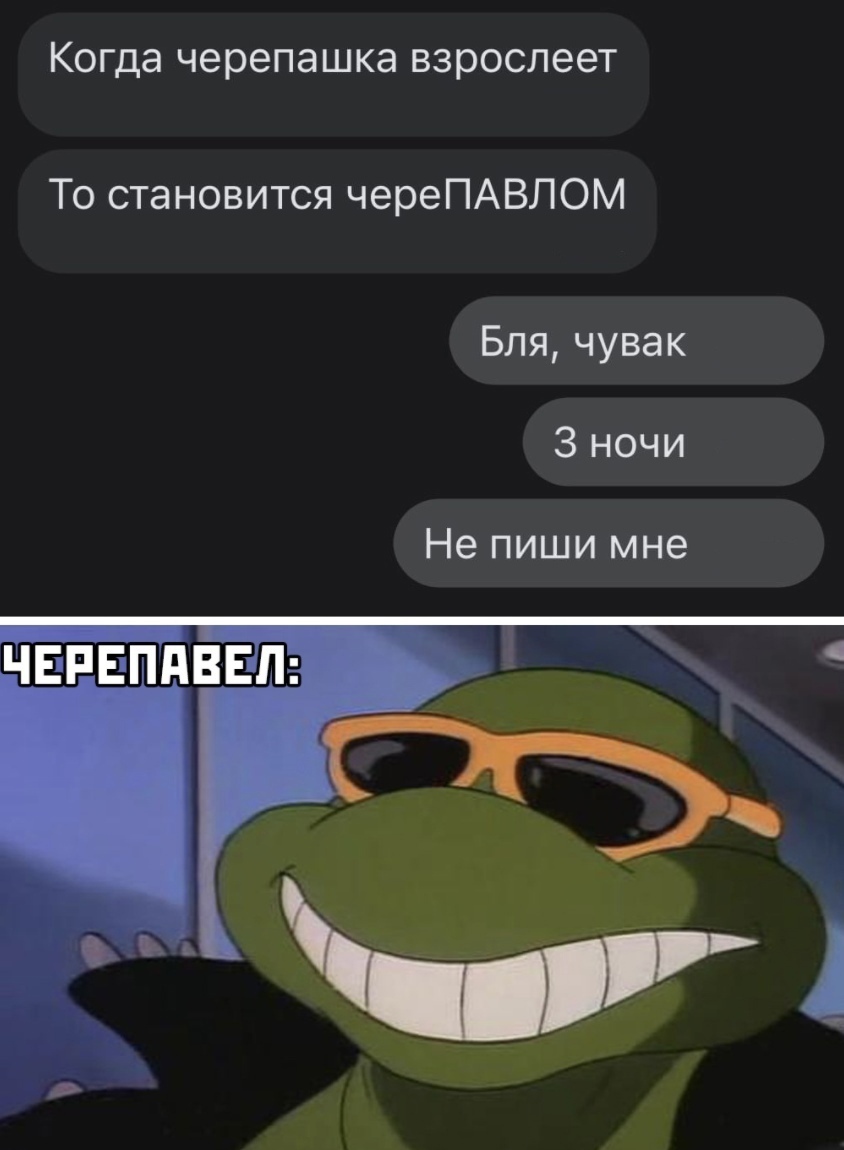 And moves to Cherepovets - Humor, Turtle, Screenshot, Picture with text, Repeat, Mat