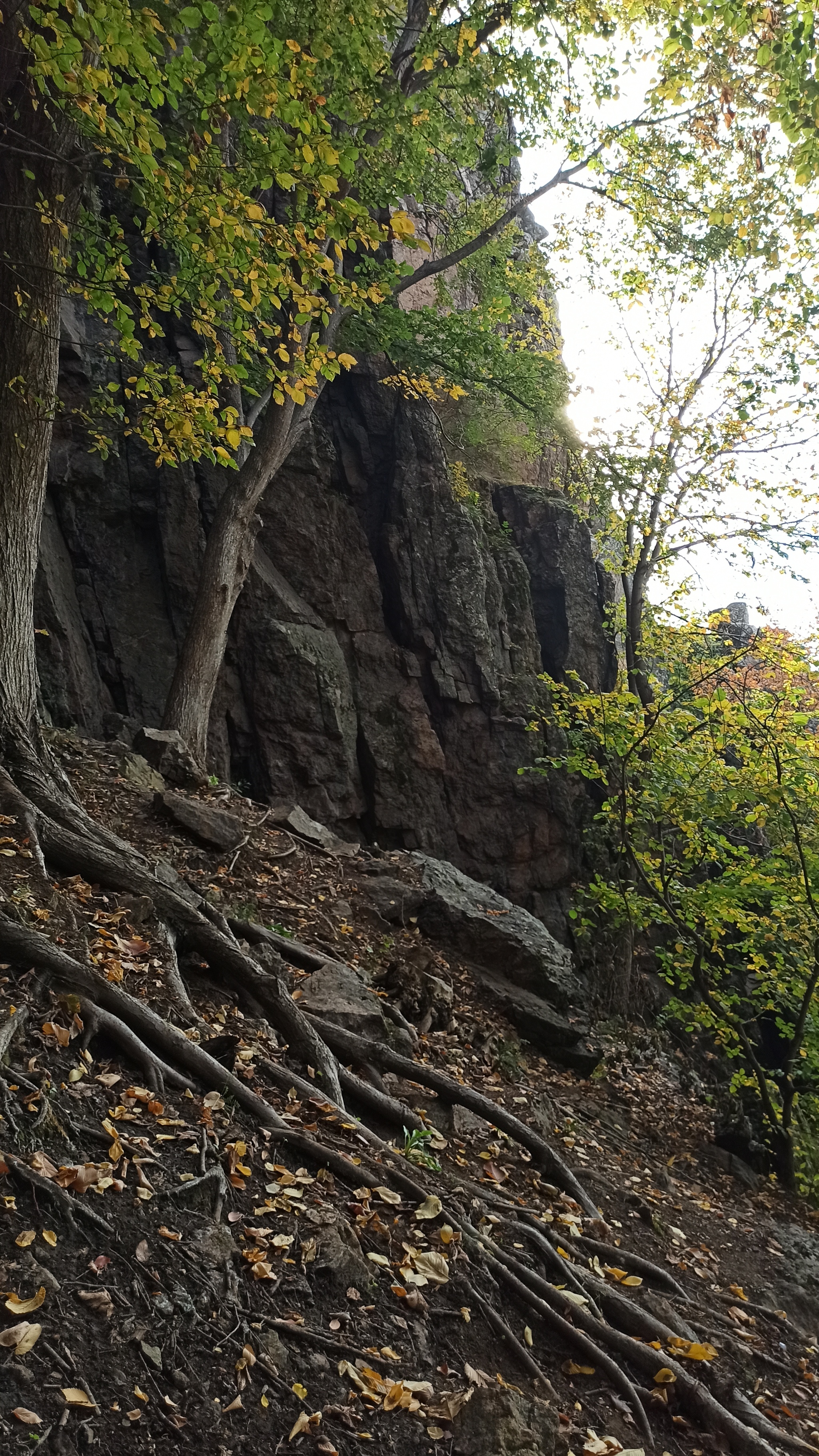 Regional landscape park Granite-steppe Bug region. - My, Southern Bug, Tourism, Mykolaiv Oblast, , The photo, Reserves and sanctuaries, The rocks, Nature, Longpost