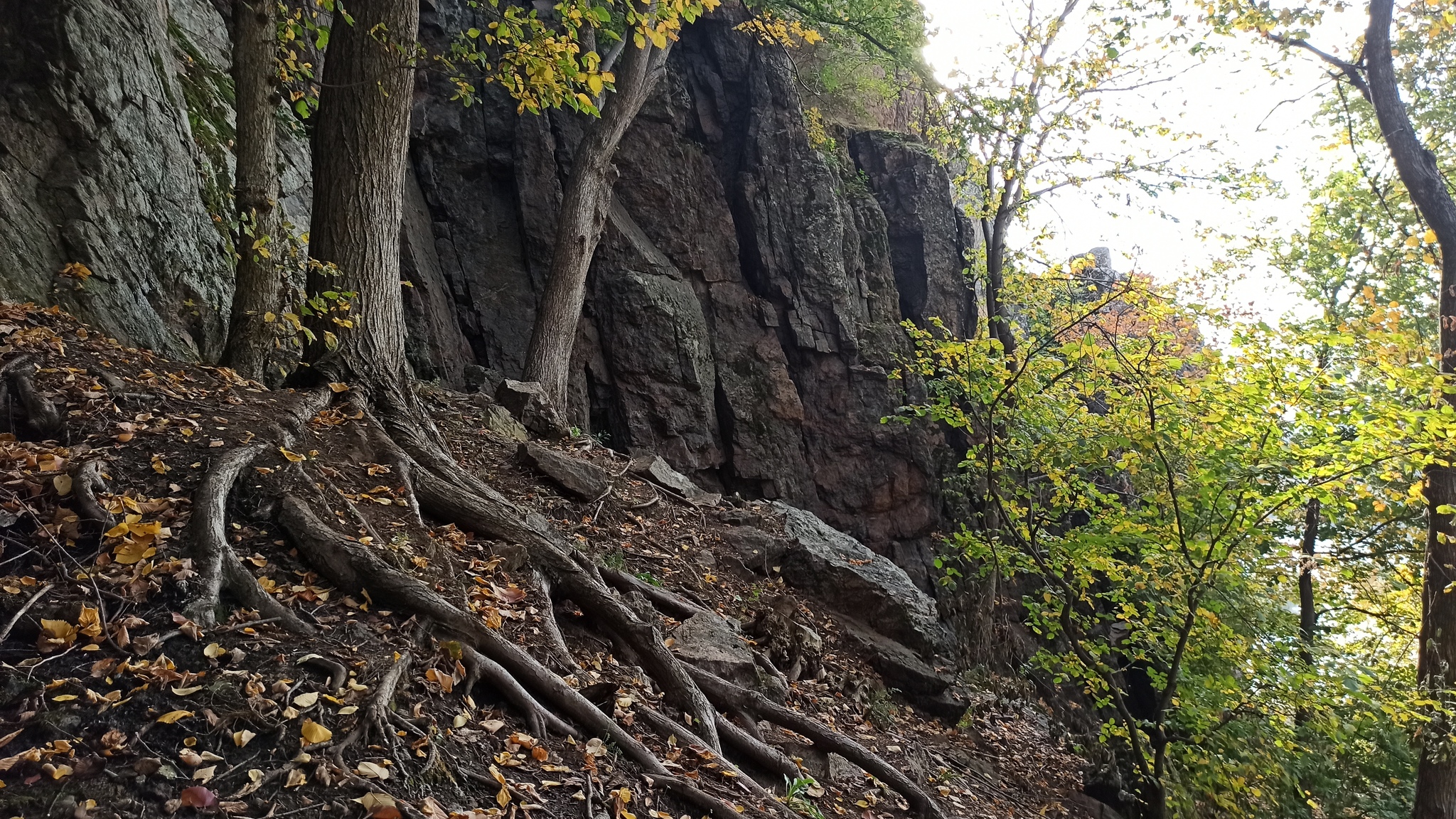 Regional landscape park Granite-steppe Bug region. - My, Southern Bug, Tourism, Mykolaiv Oblast, , The photo, Reserves and sanctuaries, The rocks, Nature, Longpost