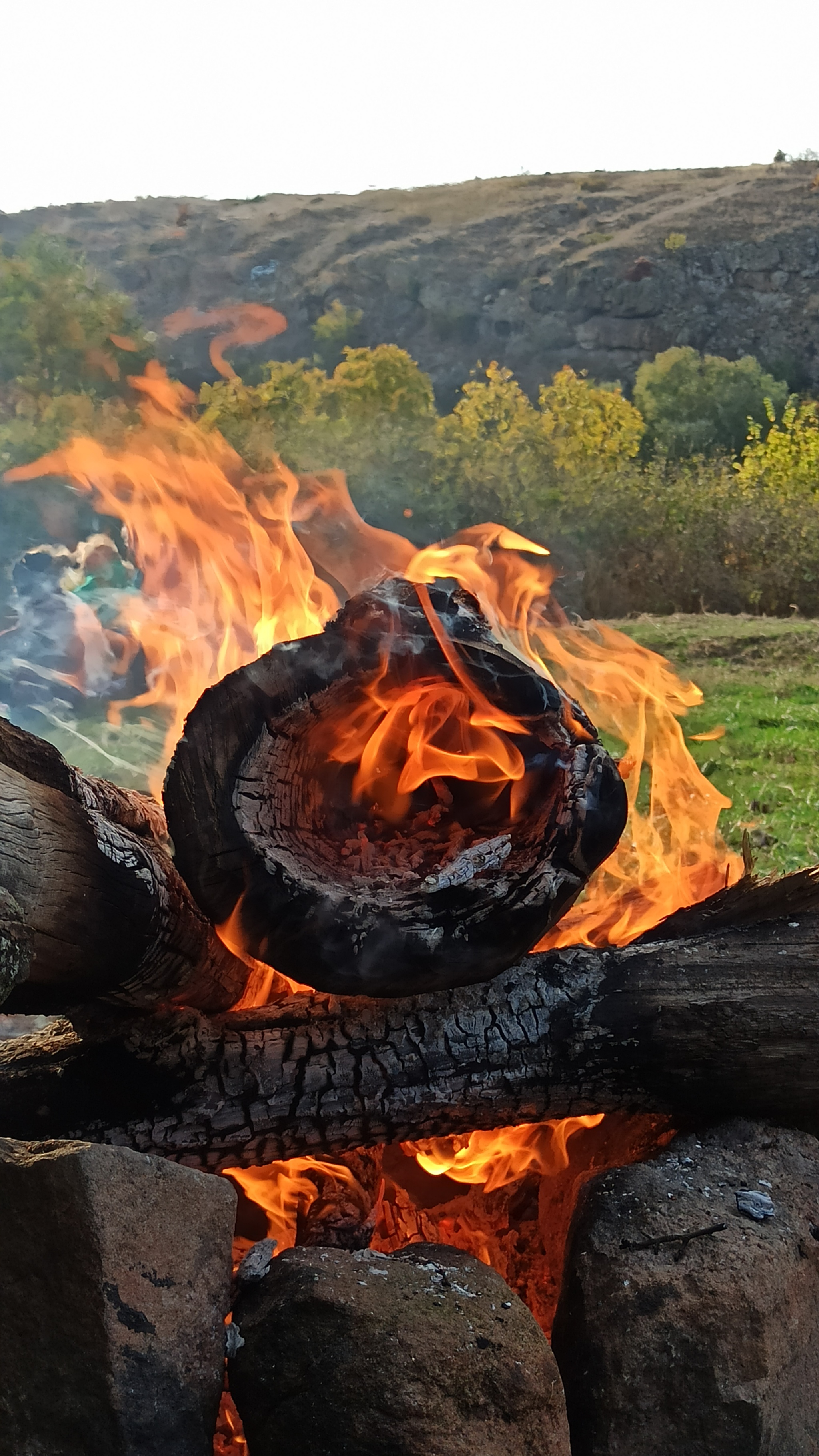 Fire magic or campfire romance - My, Redmi, Mobile, Mobile photography, Fire, Bonfire, Fireplace, Campfire cooking, How Bonfires Burn, Nature, Relaxation, Leisure, Tourism, Mykolaiv Oblast, , Longpost