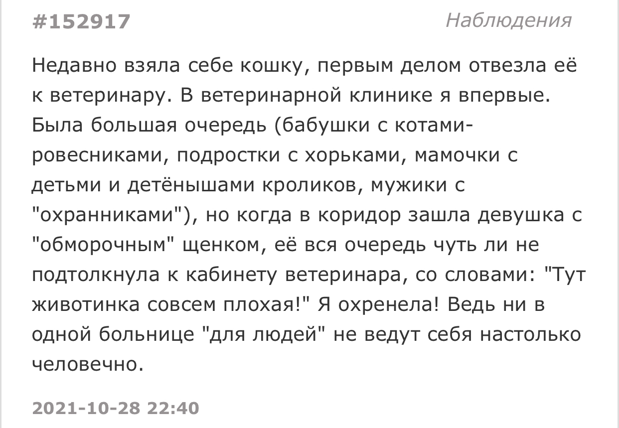 Щеночку надо помочь - Подслушано, Скриншот, Ветеринарная клиника, Щенки, Доброта, Очередь