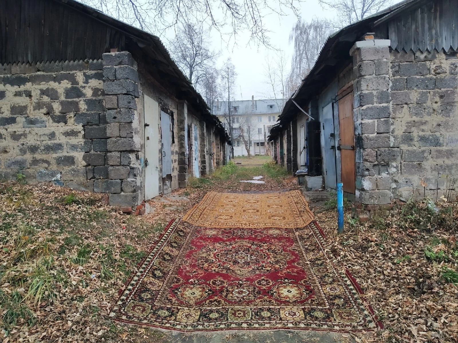 Идеально вписались - Осень, Ковер, Сарай, Кстово