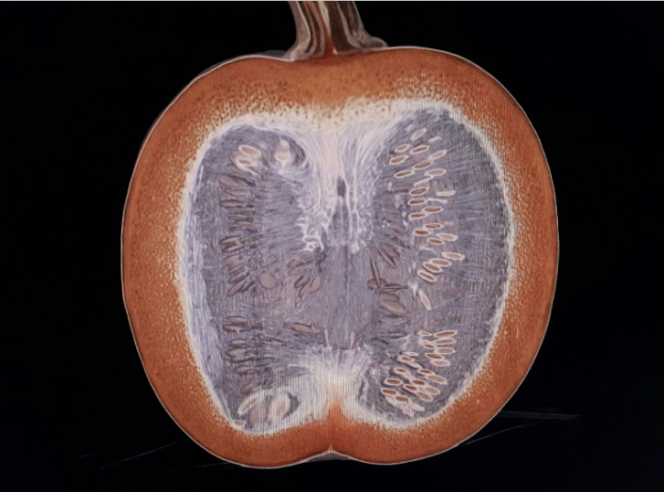 Pumpkin tomogram - Pumpkin, Halloween, Tomography, Longpost