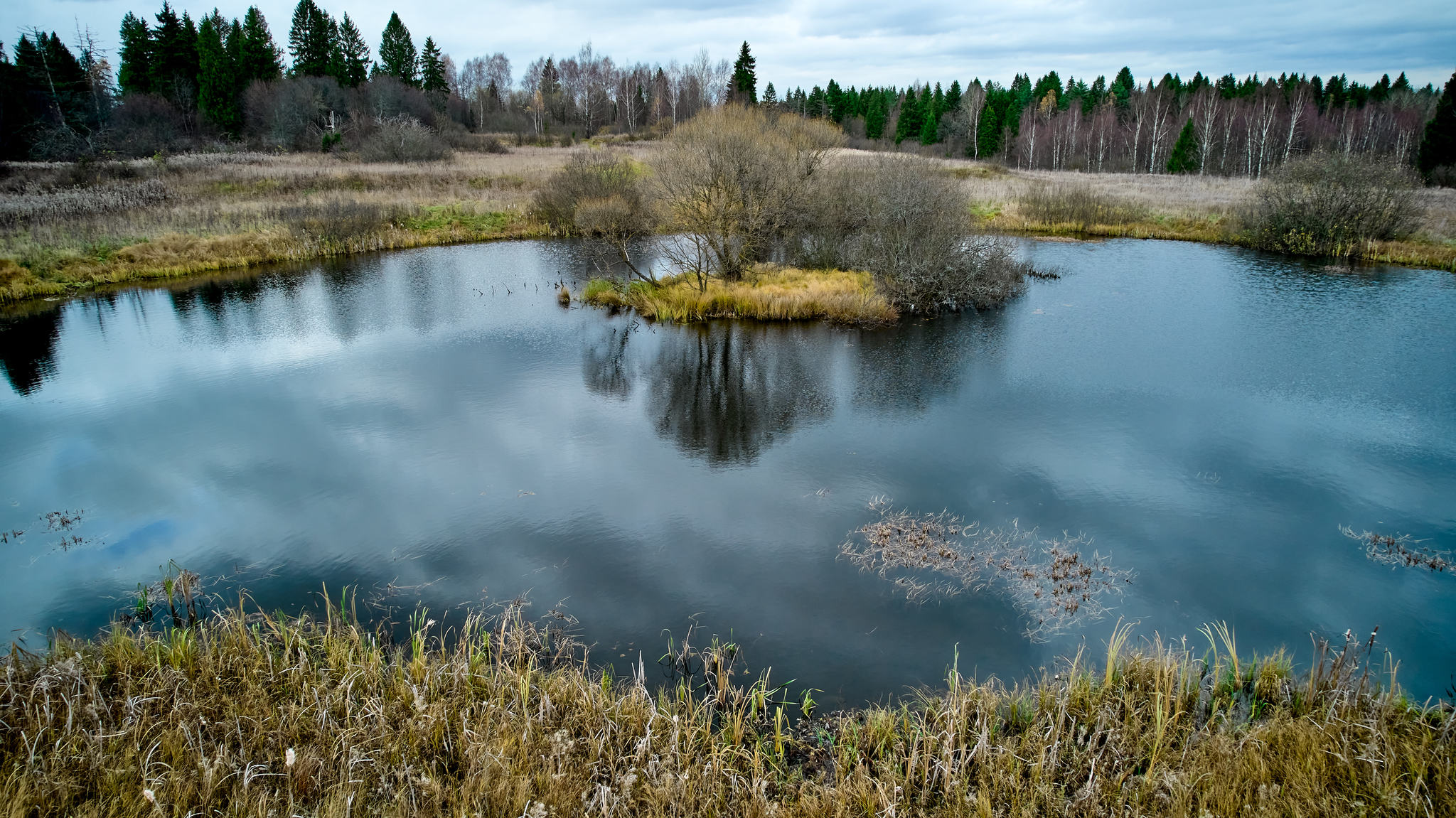 Olga Myza - My, Landscape, Travels, Auto Club, Lake, Longpost, 