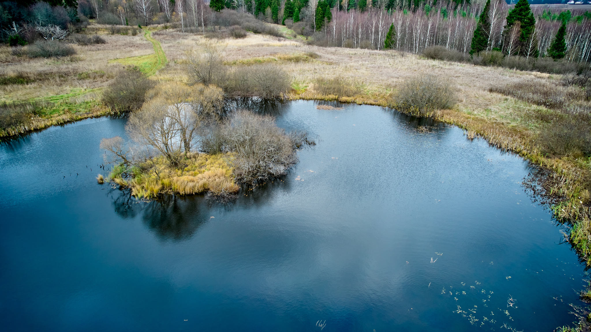 Olga Myza - My, Landscape, Travels, Auto Club, Lake, Longpost, 