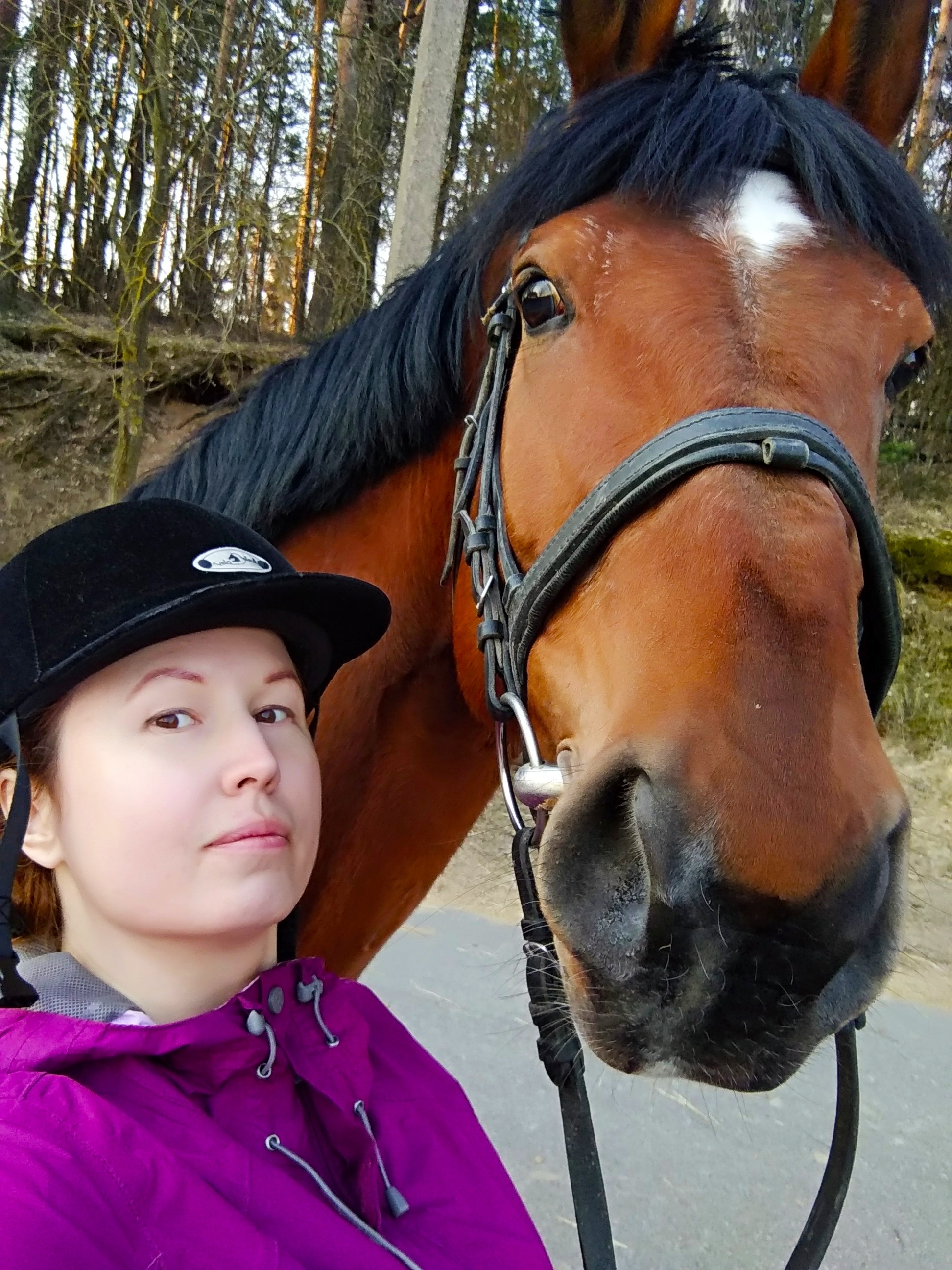 Me and my workhorses - My, Horses, Horseback riding, Hobby, Republic of Belarus, Minsk, , Longpost