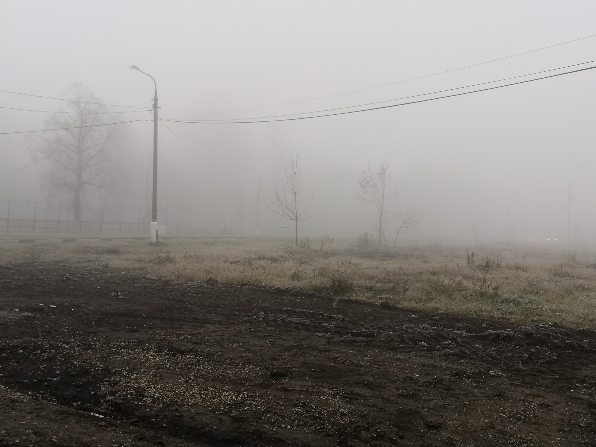 Misty - My, Fog, Подмосковье, Longpost