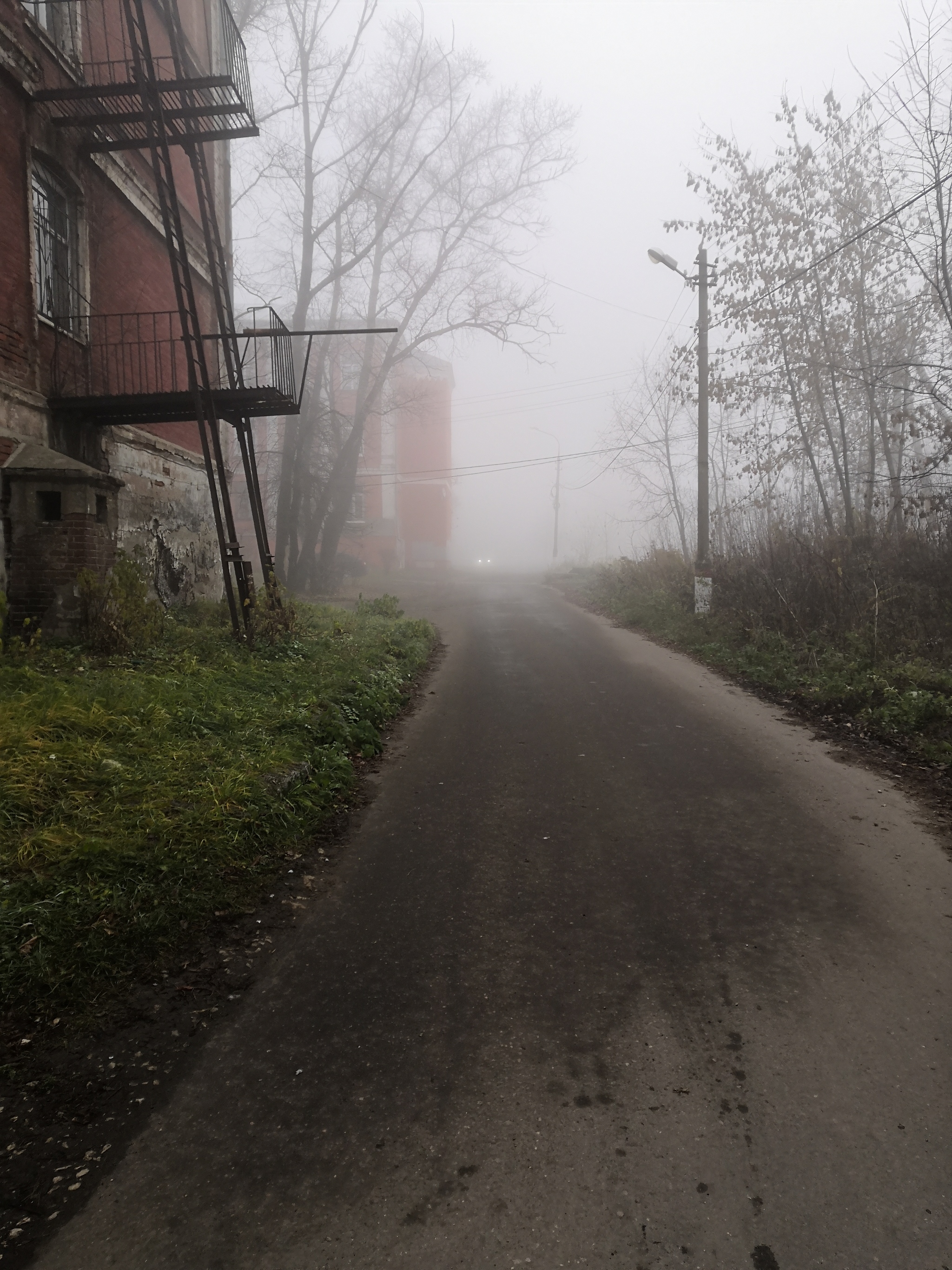 Misty - My, Fog, Подмосковье, Longpost