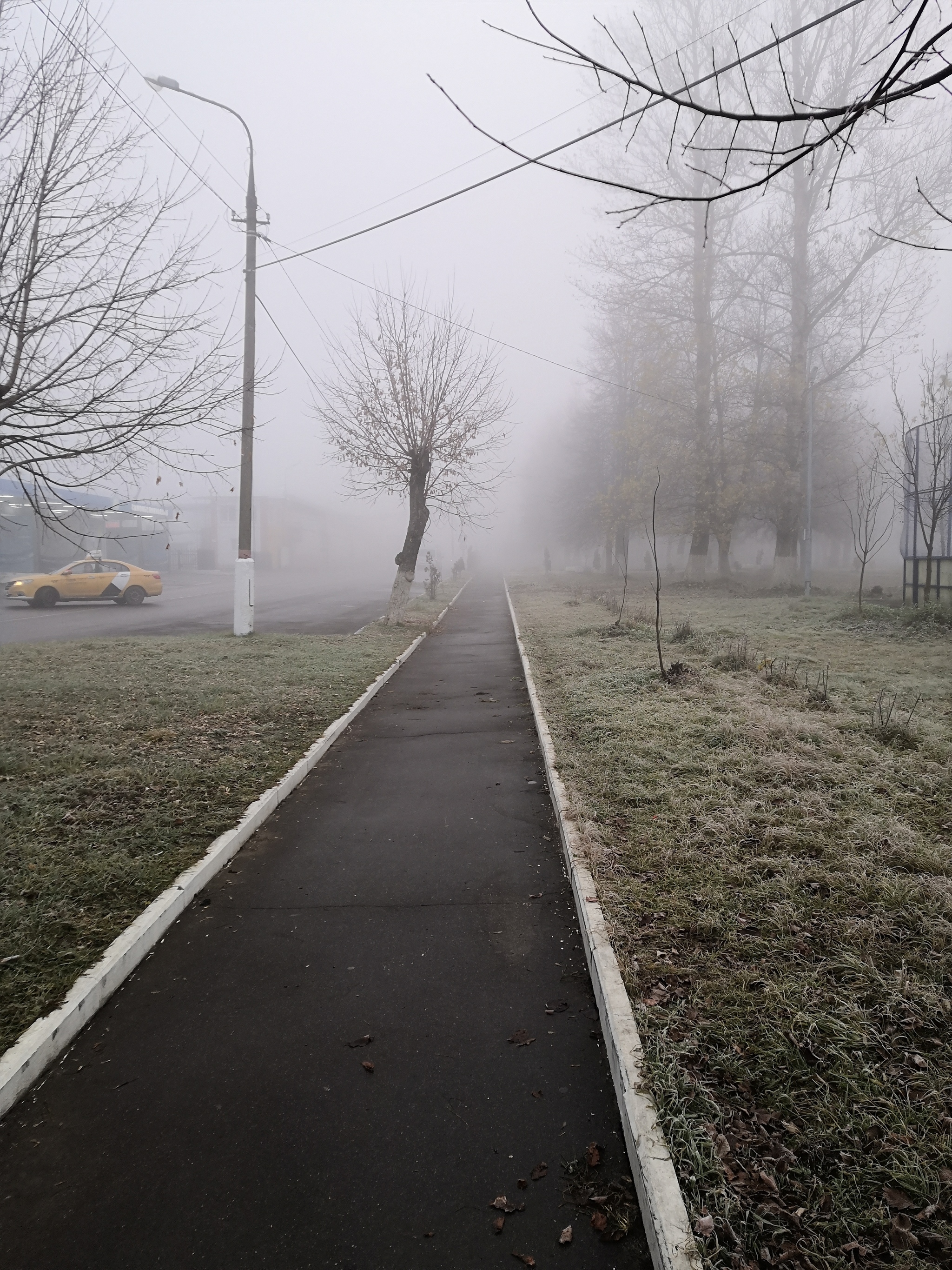 Misty - My, Fog, Подмосковье, Longpost