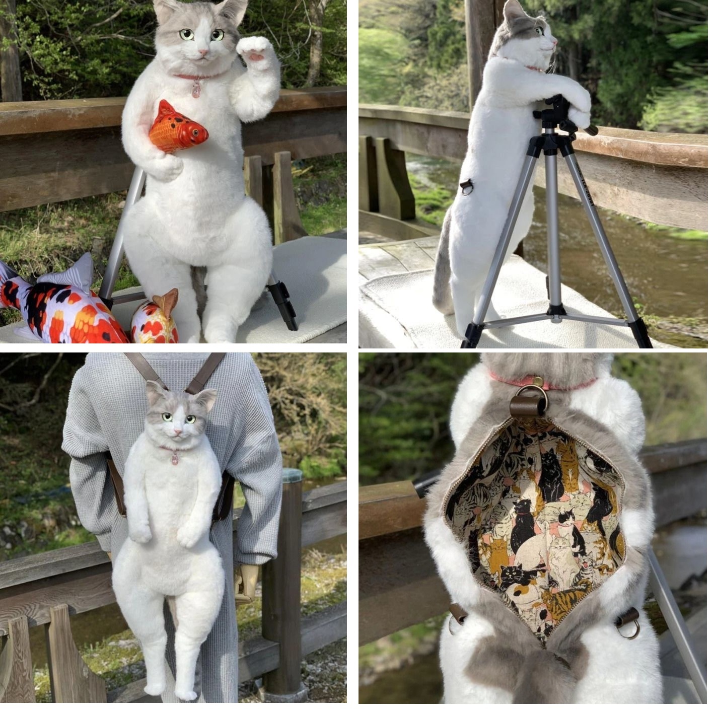 He lived a normal cat life, and then... - cat, Backpack, Longpost