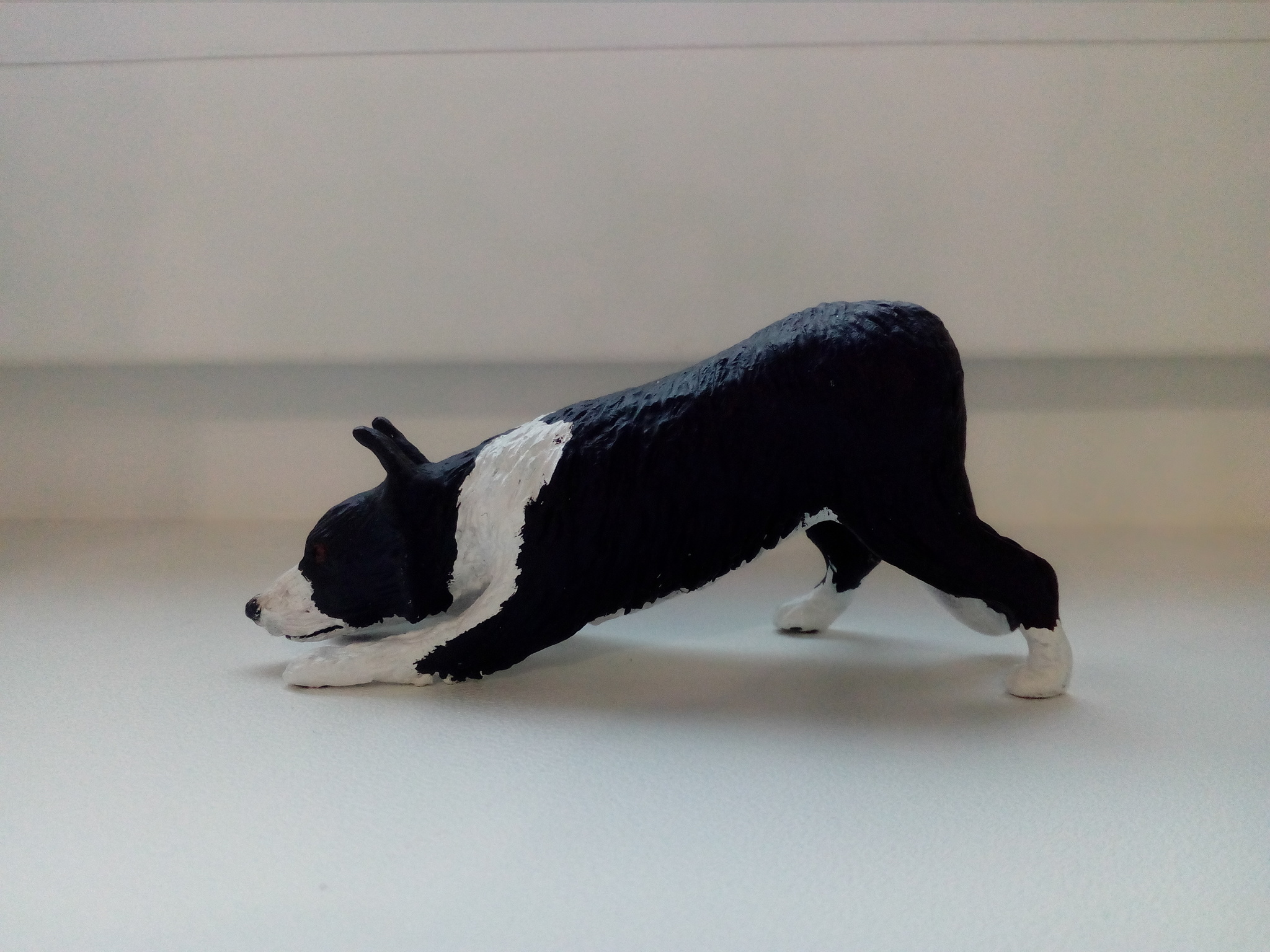 Border Collie - My, Polymer clay, Figurines, Border Collie, Longpost