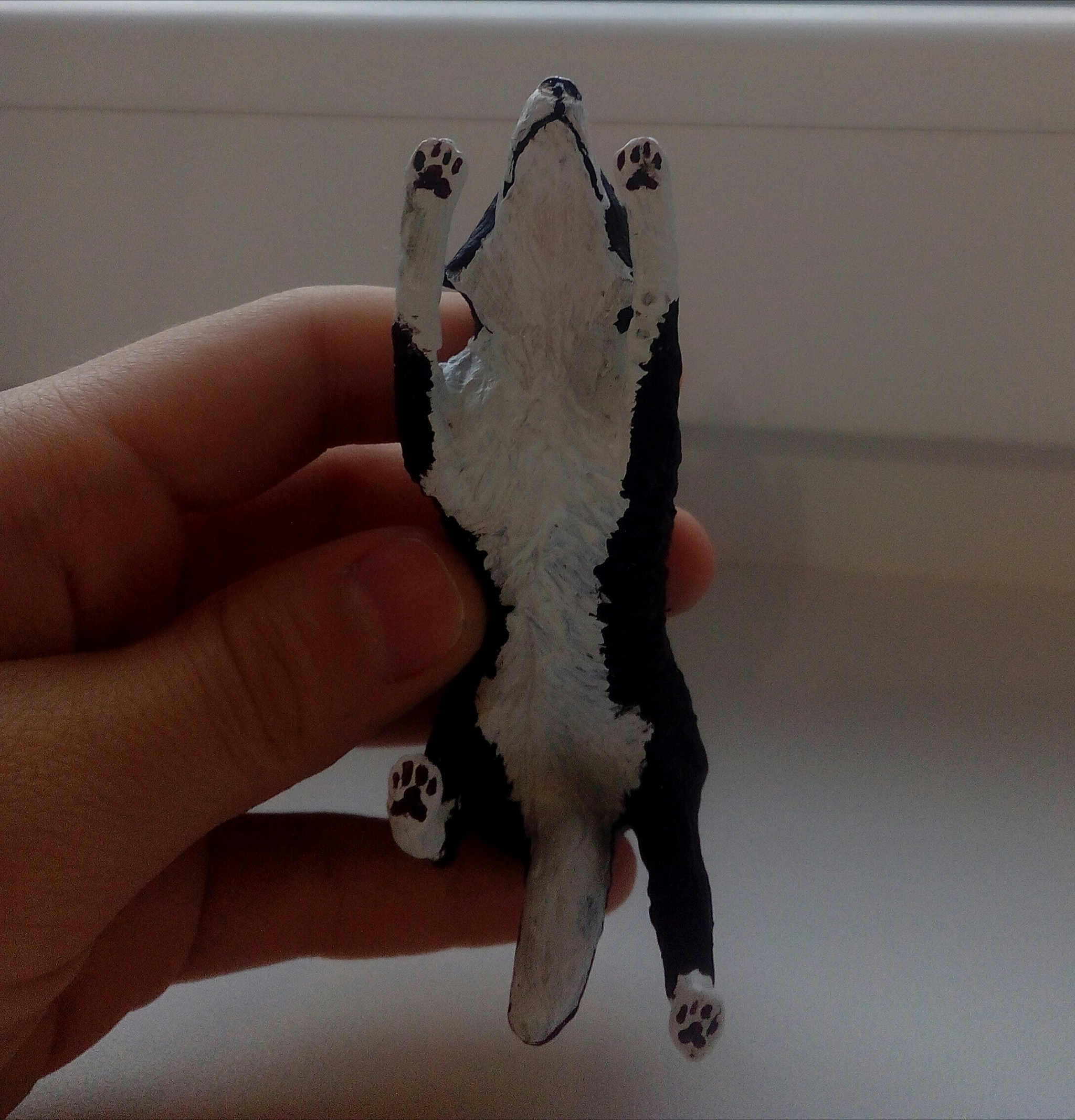 Border Collie - My, Polymer clay, Figurines, Border Collie, Longpost