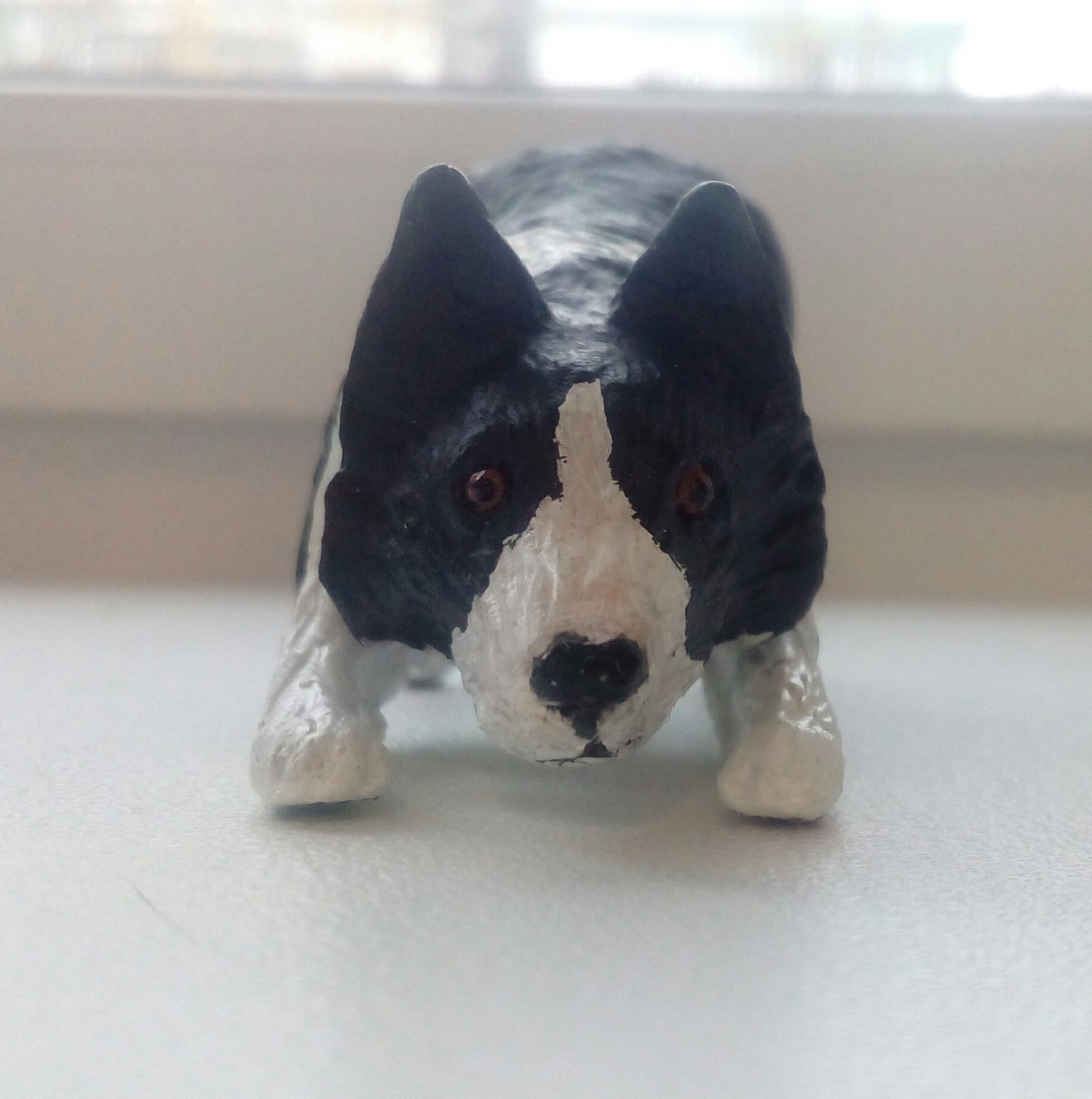 Border Collie - My, Polymer clay, Figurines, Border Collie, Longpost