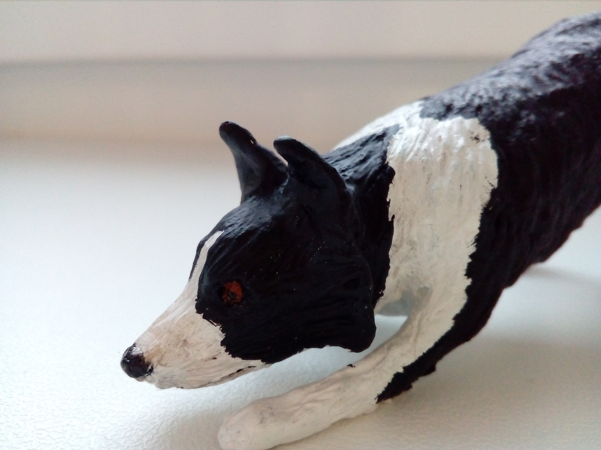 Border Collie - My, Polymer clay, Figurines, Border Collie, Longpost