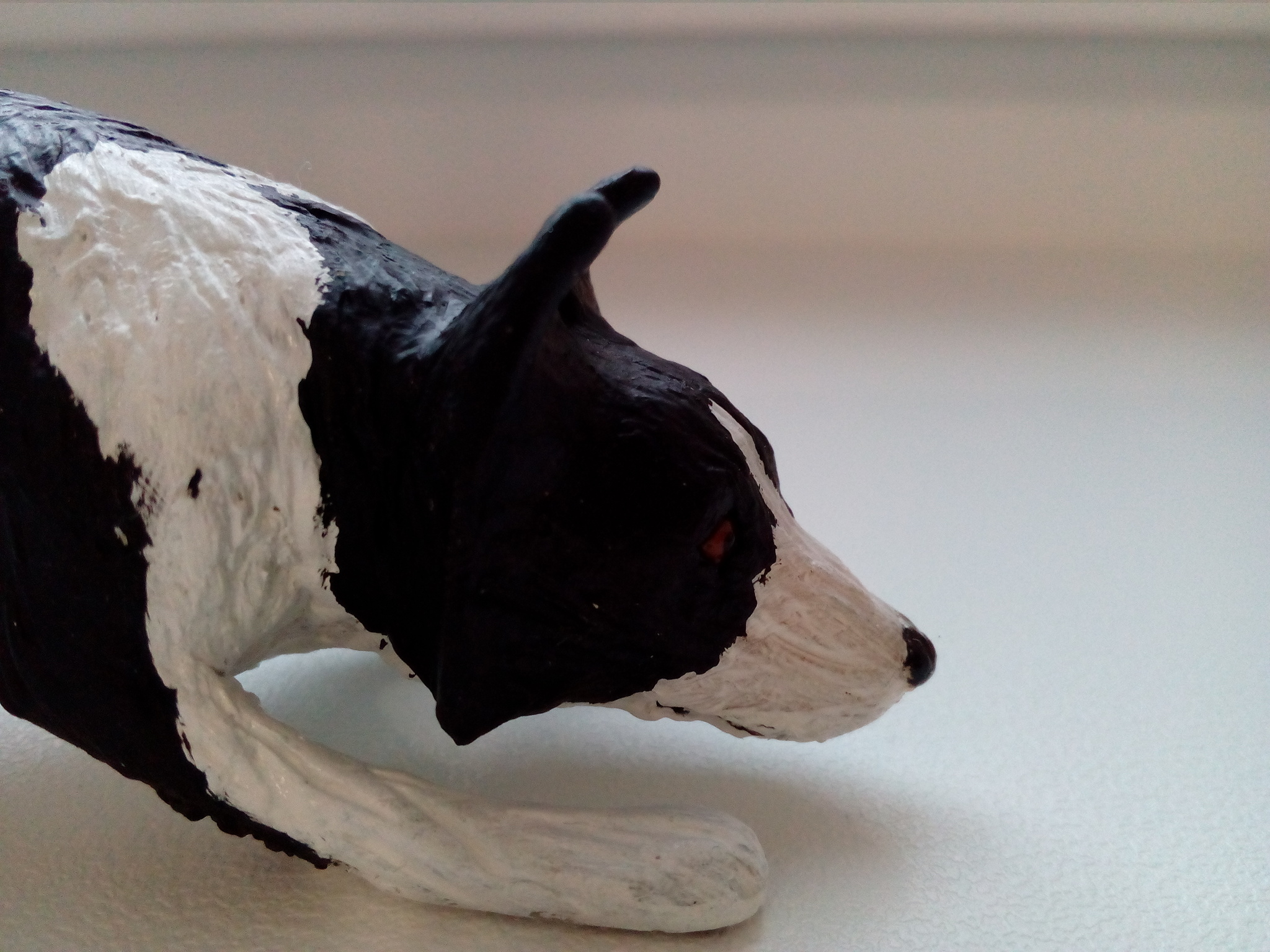 Border Collie - My, Polymer clay, Figurines, Border Collie, Longpost