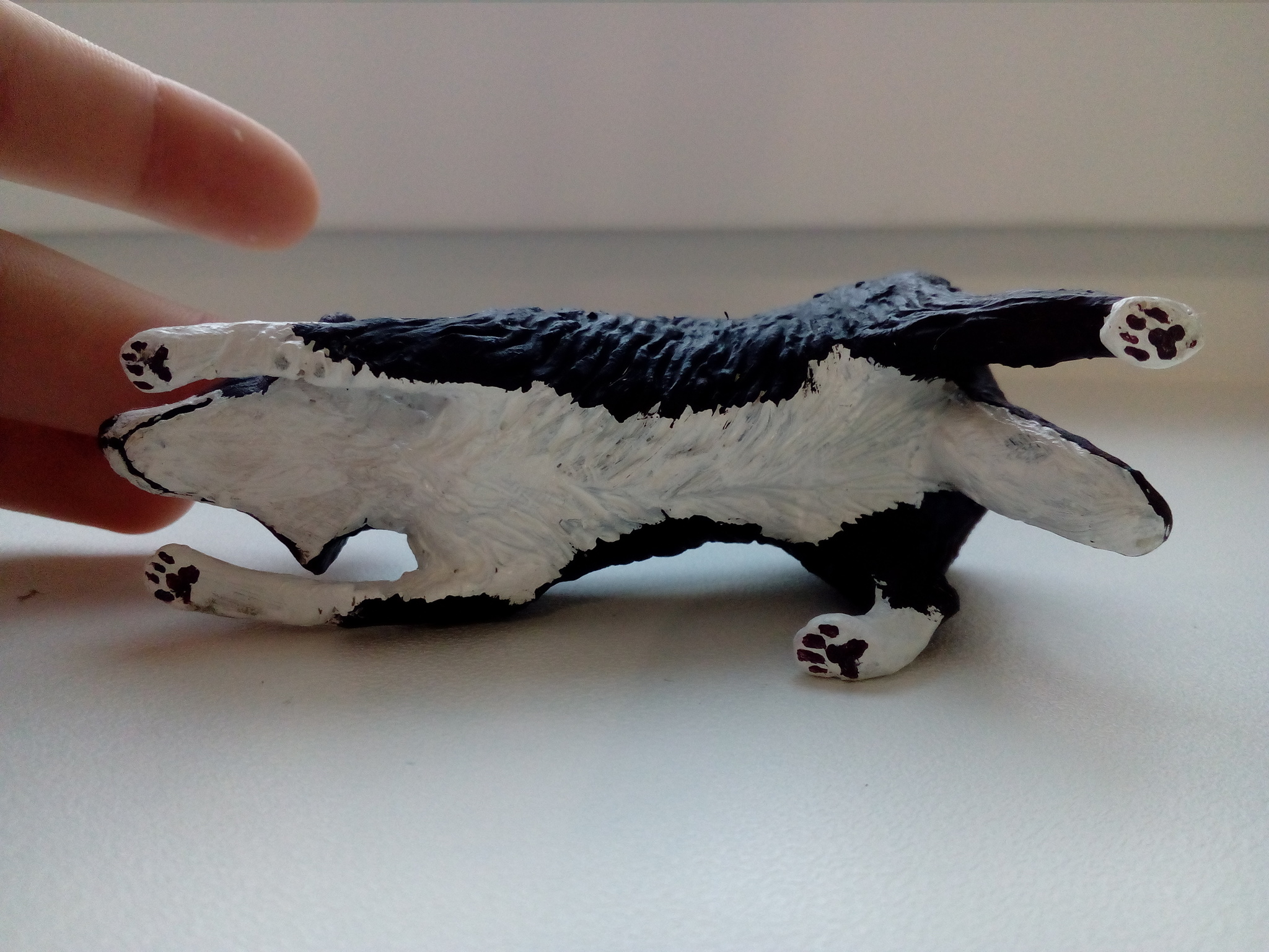 Border Collie - My, Polymer clay, Figurines, Border Collie, Longpost