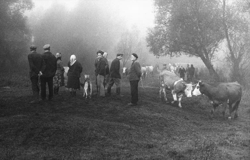 Foggy history of Russia - Fog, Russia, Story, История России, History of the USSR, the USSR, Weather, Nature, Landscape, Town, The photo, Old photo, Old, Retro, Before, Longpost