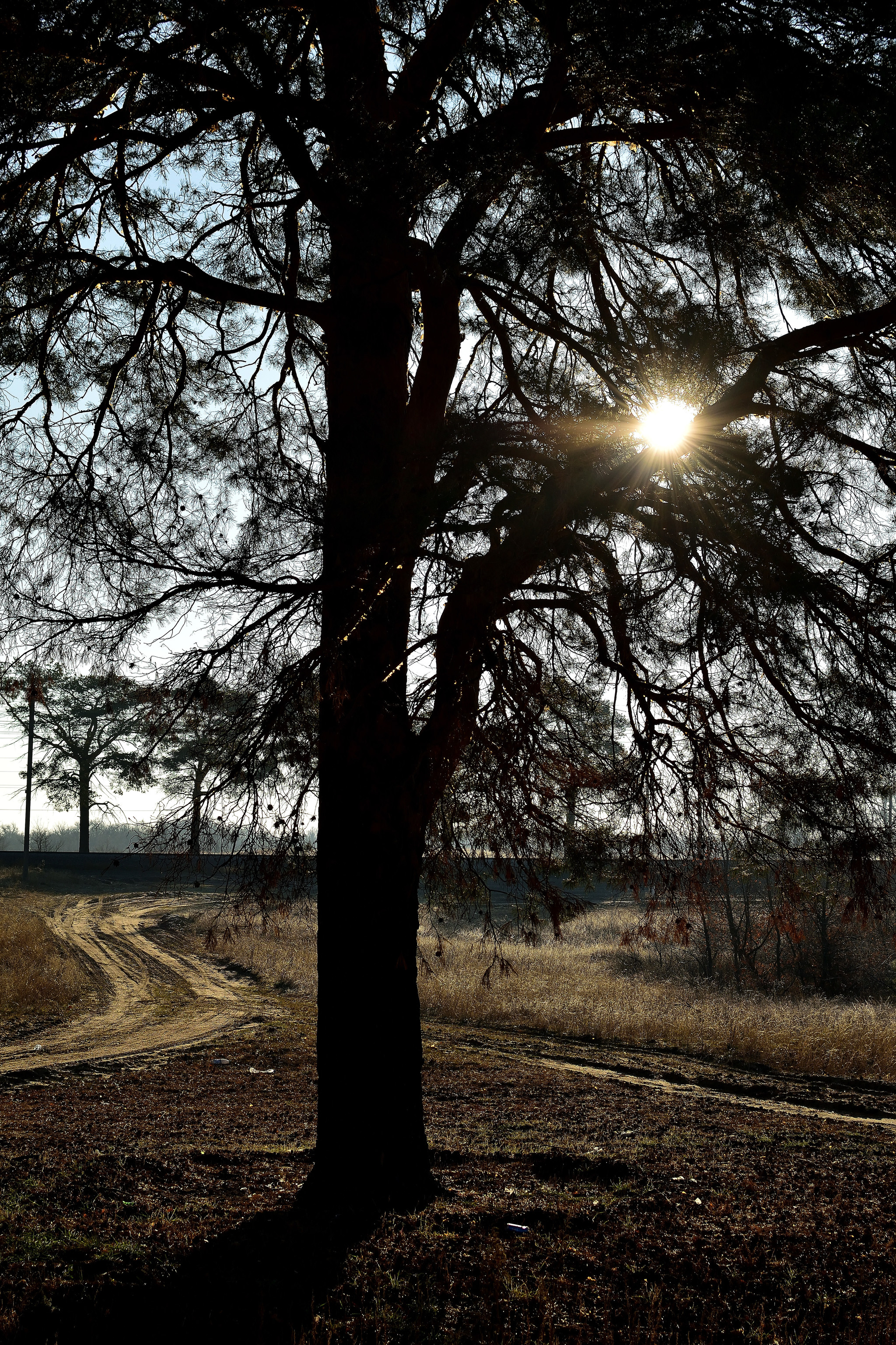 A trip to the Devil's Game and the Kamenno-Brodsky Monastery - My, Volgograd region, Travels, Travel across Russia, Monastery, Oak, The photo, Budget travel, Chalk Mountains, Longpost