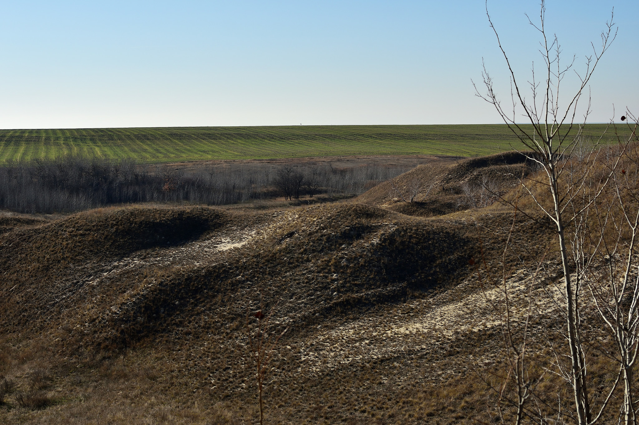 A trip to the Devil's Game and the Kamenno-Brodsky Monastery - My, Volgograd region, Travels, Travel across Russia, Monastery, Oak, The photo, Budget travel, Chalk Mountains, Longpost