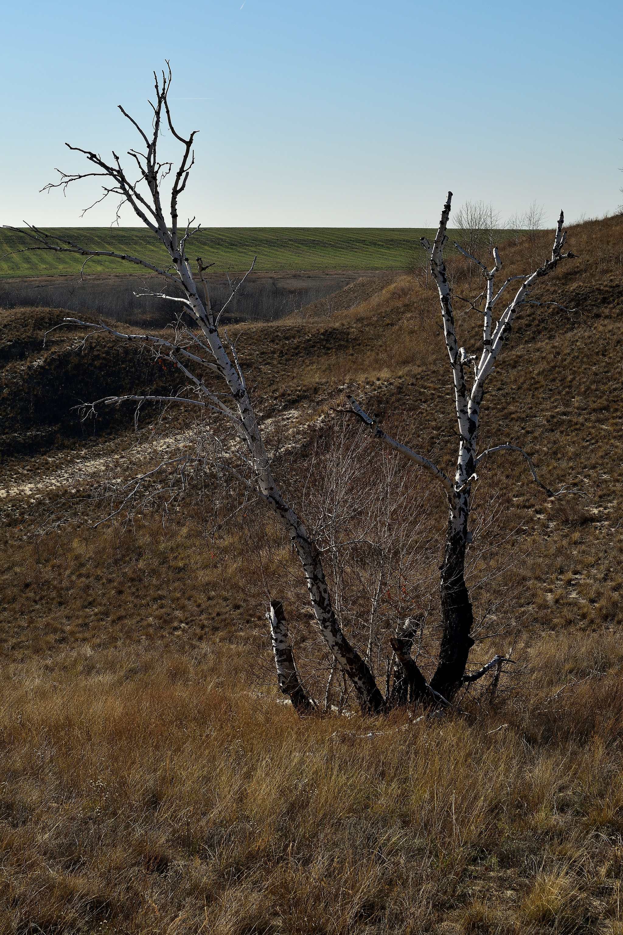 A trip to the Devil's Game and the Kamenno-Brodsky Monastery - My, Volgograd region, Travels, Travel across Russia, Monastery, Oak, The photo, Budget travel, Chalk Mountains, Longpost