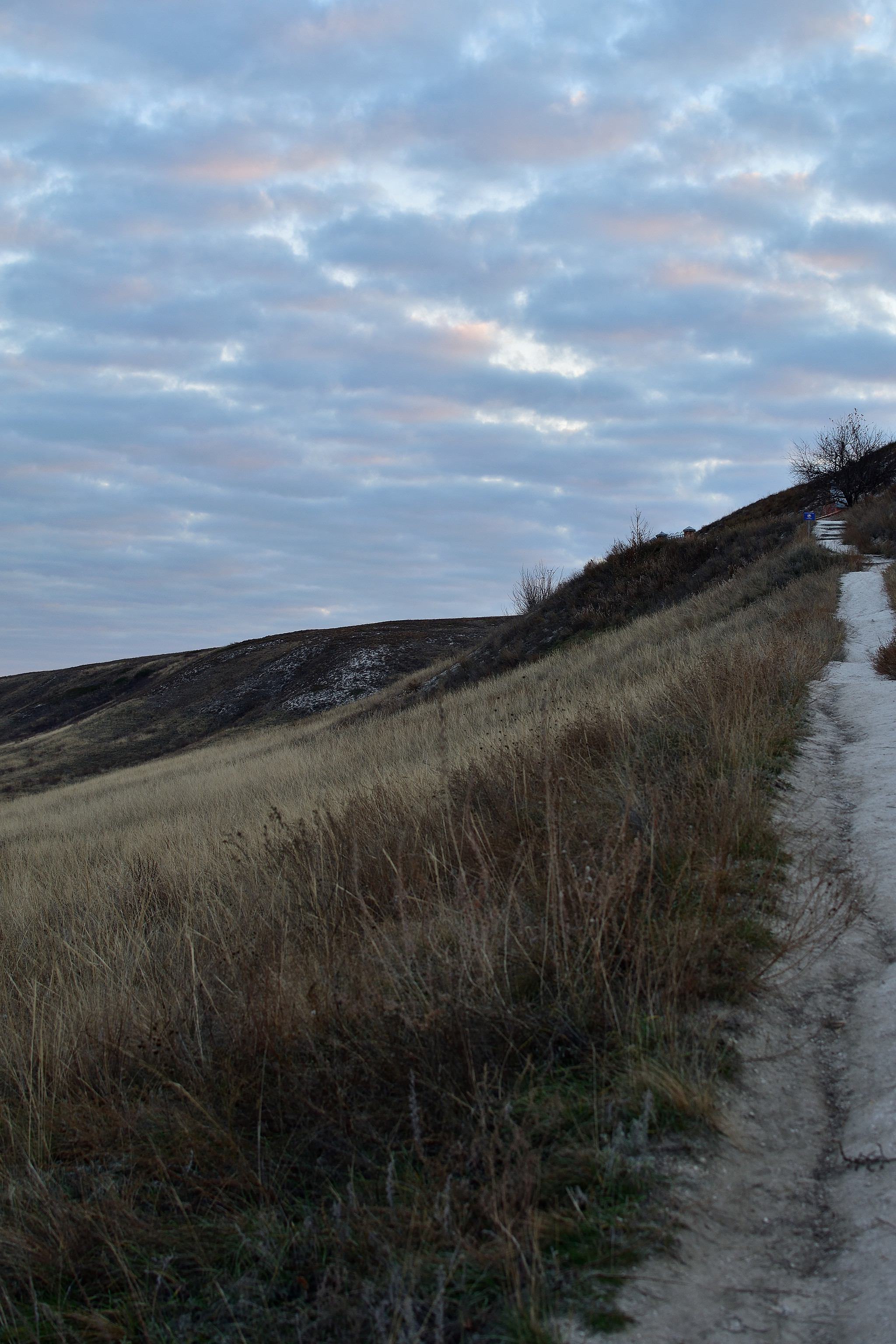 A trip to the Devil's Game and the Kamenno-Brodsky Monastery - My, Volgograd region, Travels, Travel across Russia, Monastery, Oak, The photo, Budget travel, Chalk Mountains, Longpost