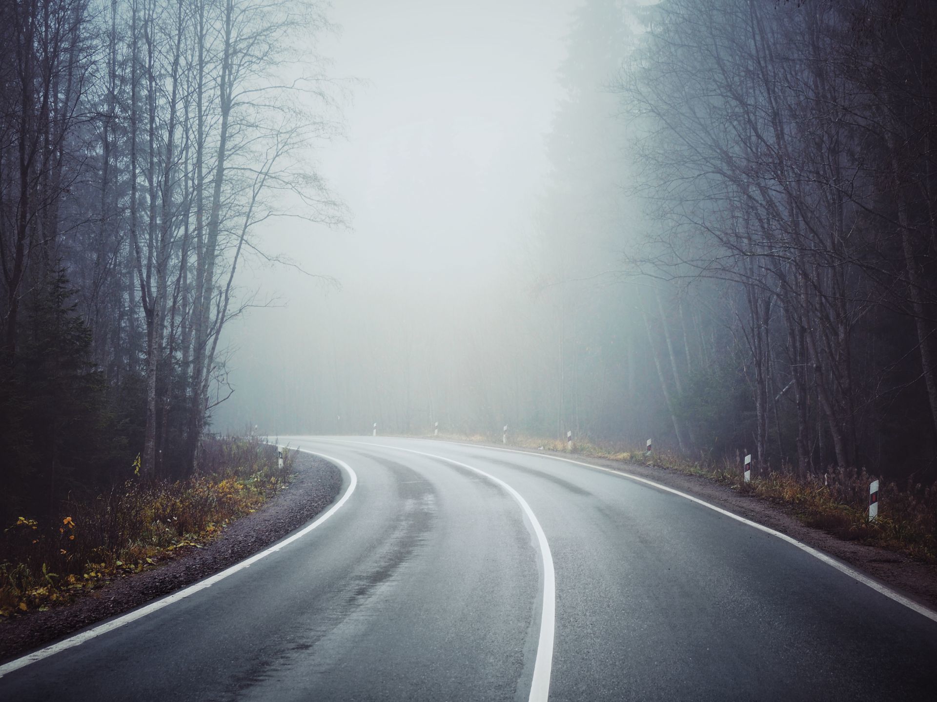 Turn into the fog - My, The photo, Leningrad region, Fog, Landscape, Road, Autumn