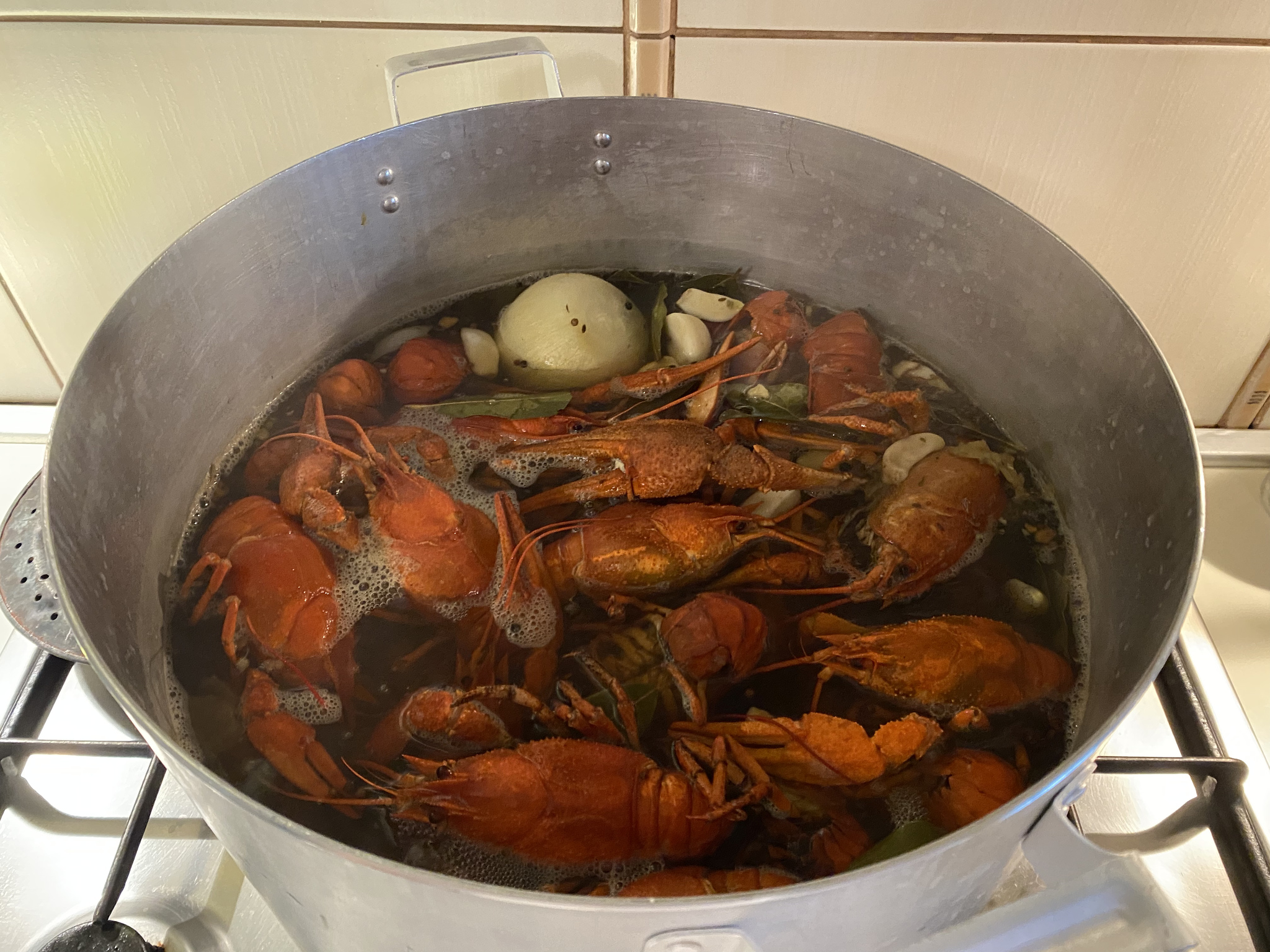 Why we love autumn - My, Crayfish, Preparation, Beer, Autumn, Taste of life, Video, Longpost