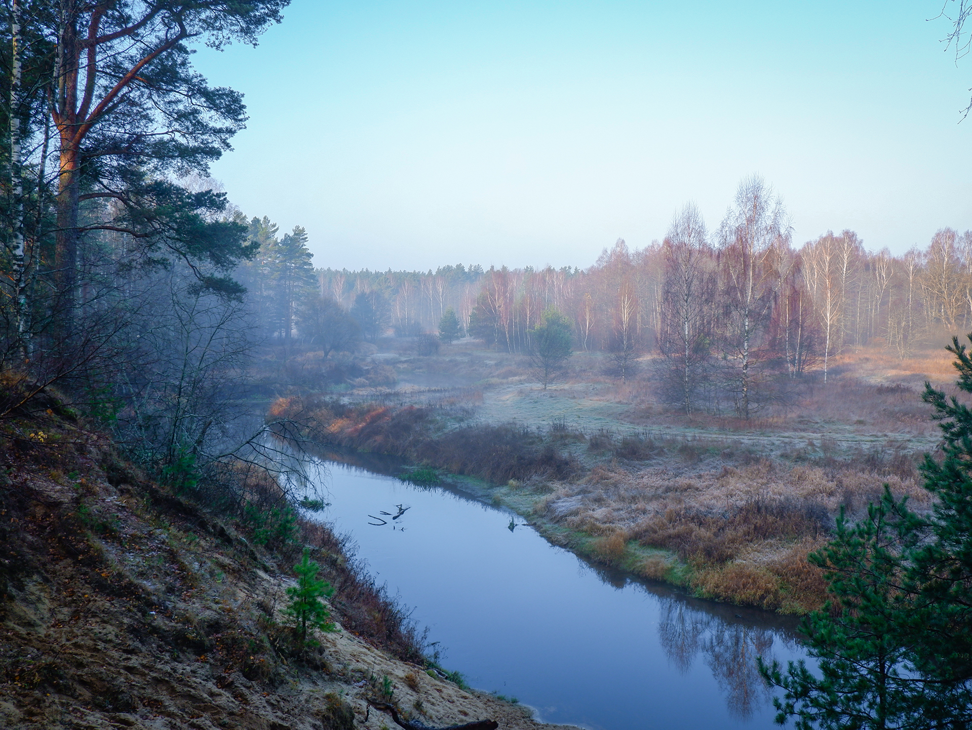 Река Нерская. Река Нерская Московская область. Торфяная вода Нерская река. Река Нерская Конобеево.